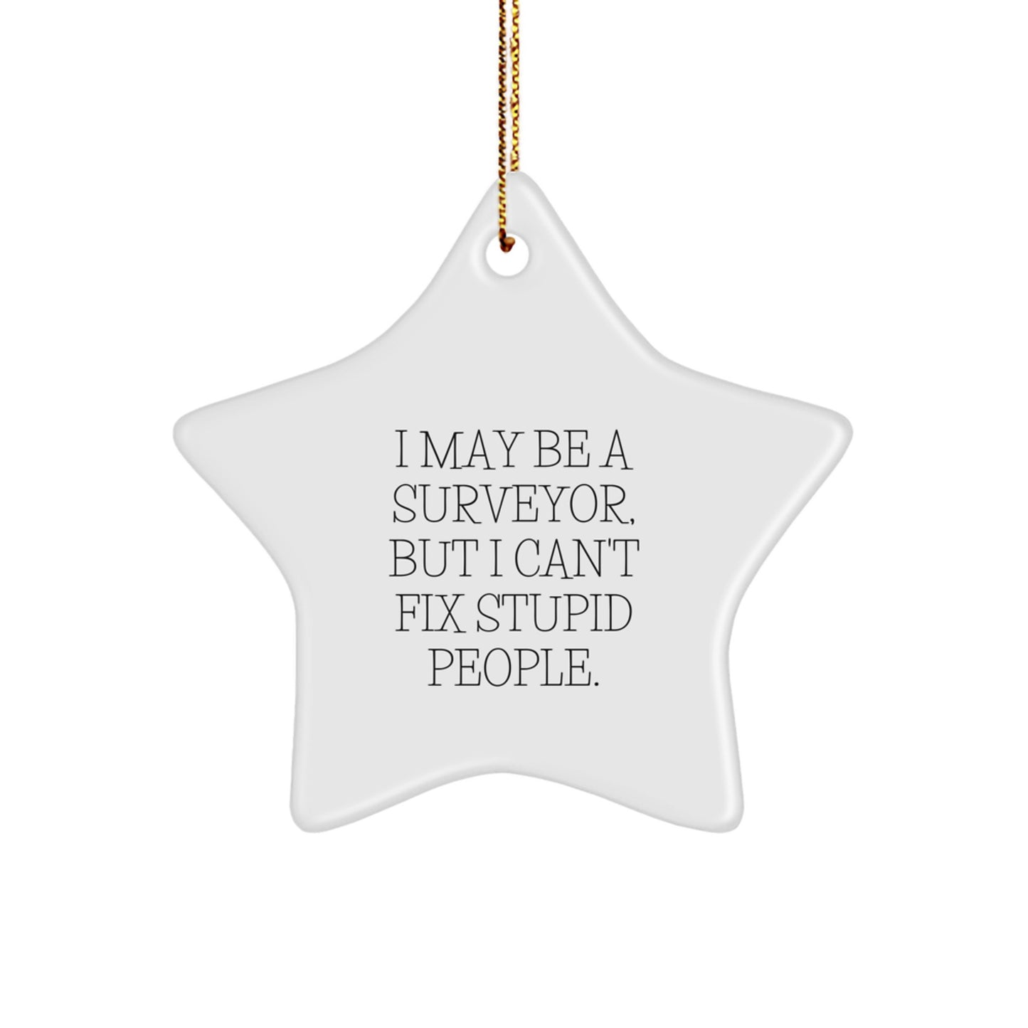 Sassy Surveyor Star Ornament for Friends Christmas Gift - Image 1