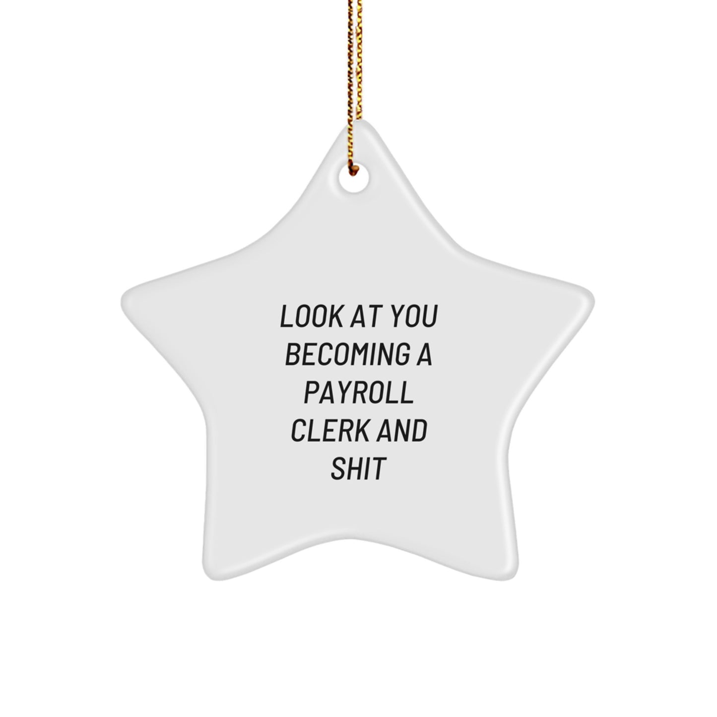 Funny Payroll Clerk Star Ornament Gifts from Friends and Family for Christmas Unique Gifts - Image 1