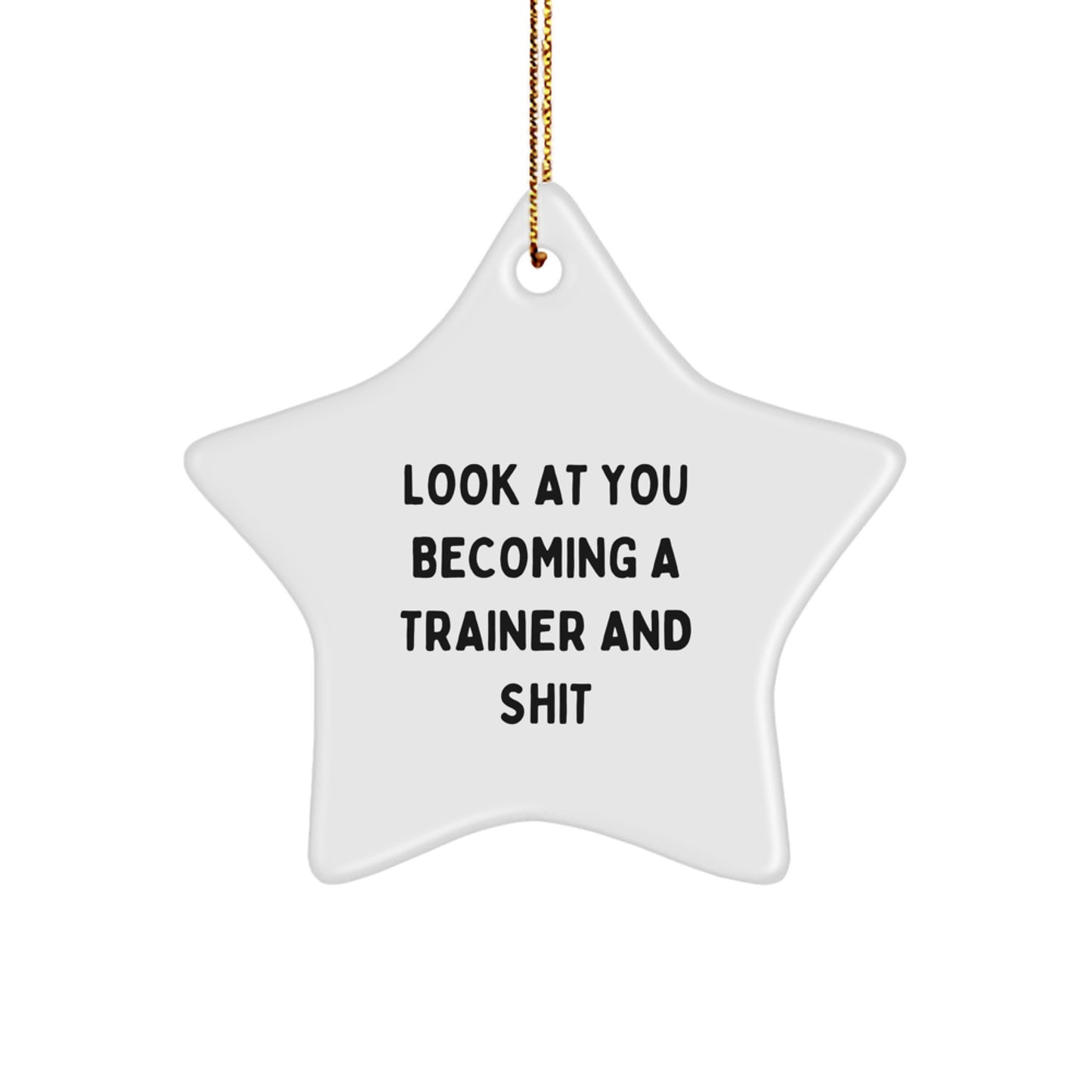 Funny Trainer Gifts from Friends, Star Ornament for Trainer, Christmas Unique Gifts for Trainer - Image 1