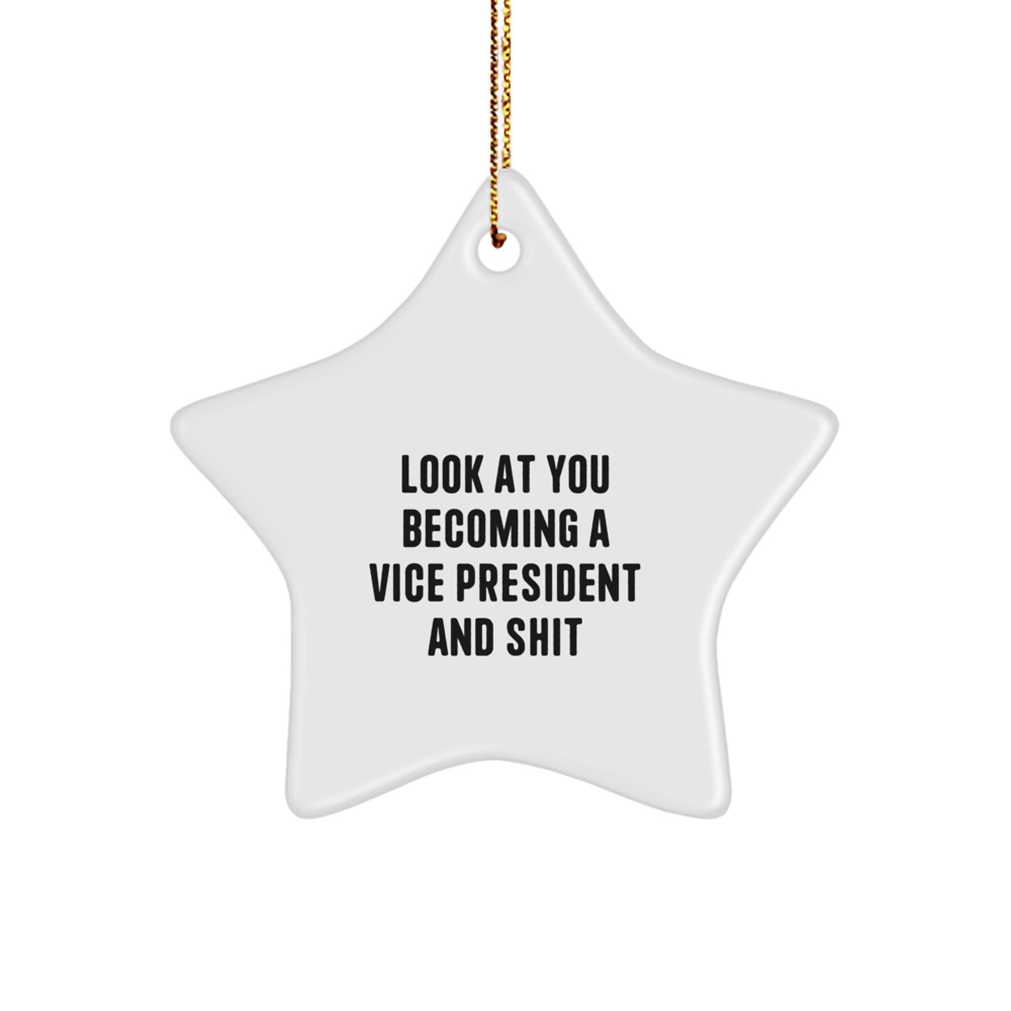 Funny Vice President Star Ornament Gifts from Friends for Men and Women to Congratulate Look At You Becoming A Vice President And Shit at Christmas - Image 1