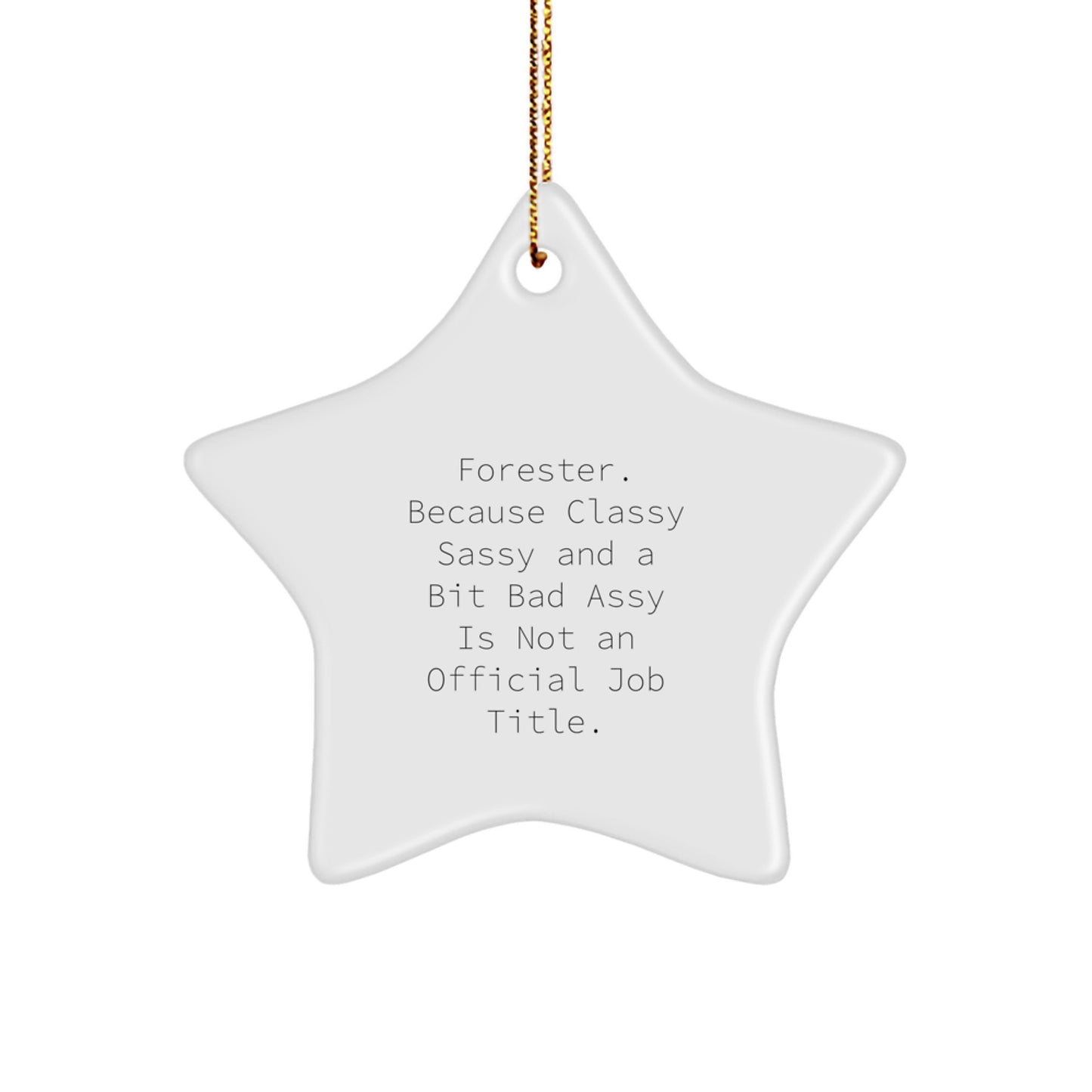 Forester Classy Sassy Star Ornament Gifts from Friends for Christmas Decoration - Image 1