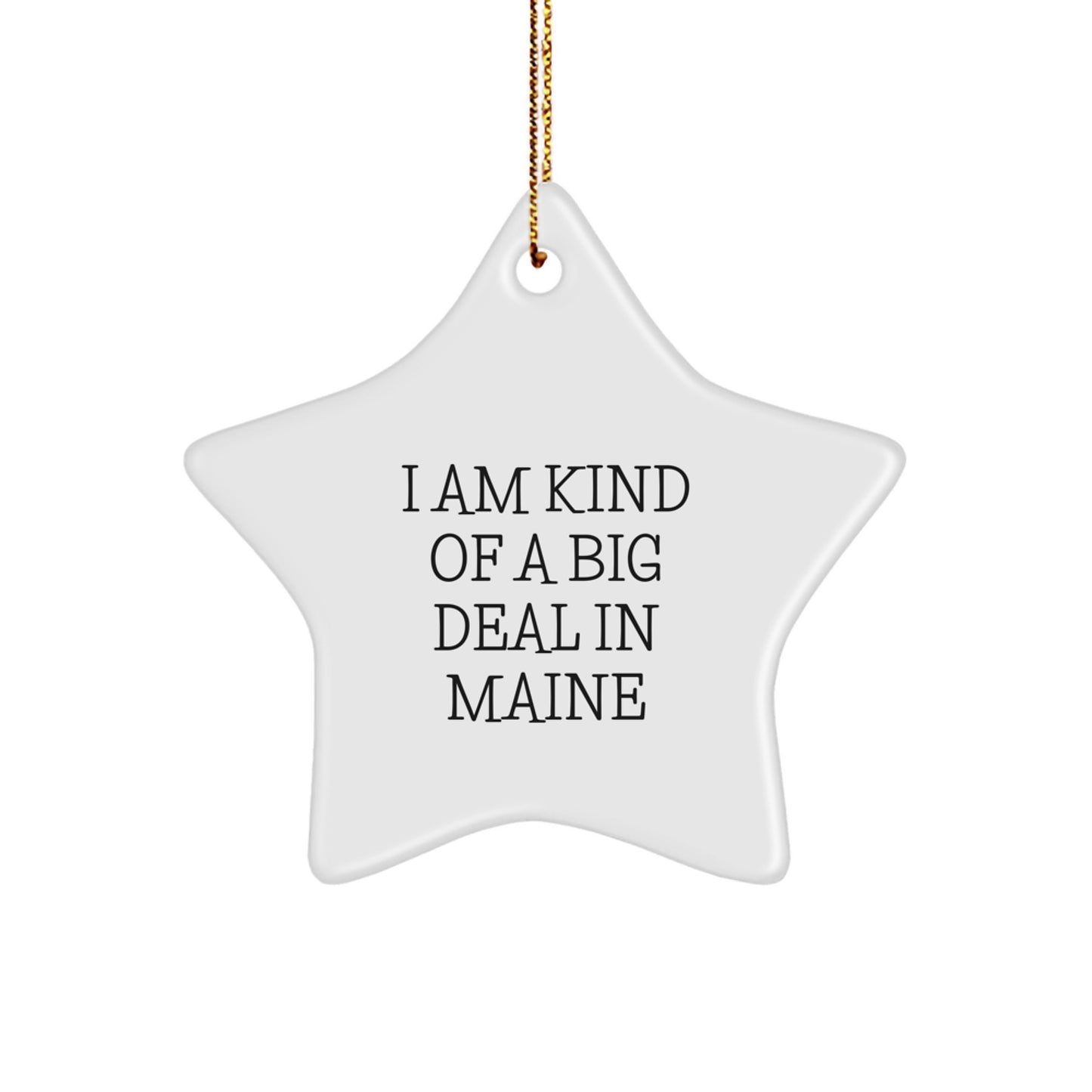 Maine Playful Novelty Star Ornament for Friends Christmas Gift - Image 1