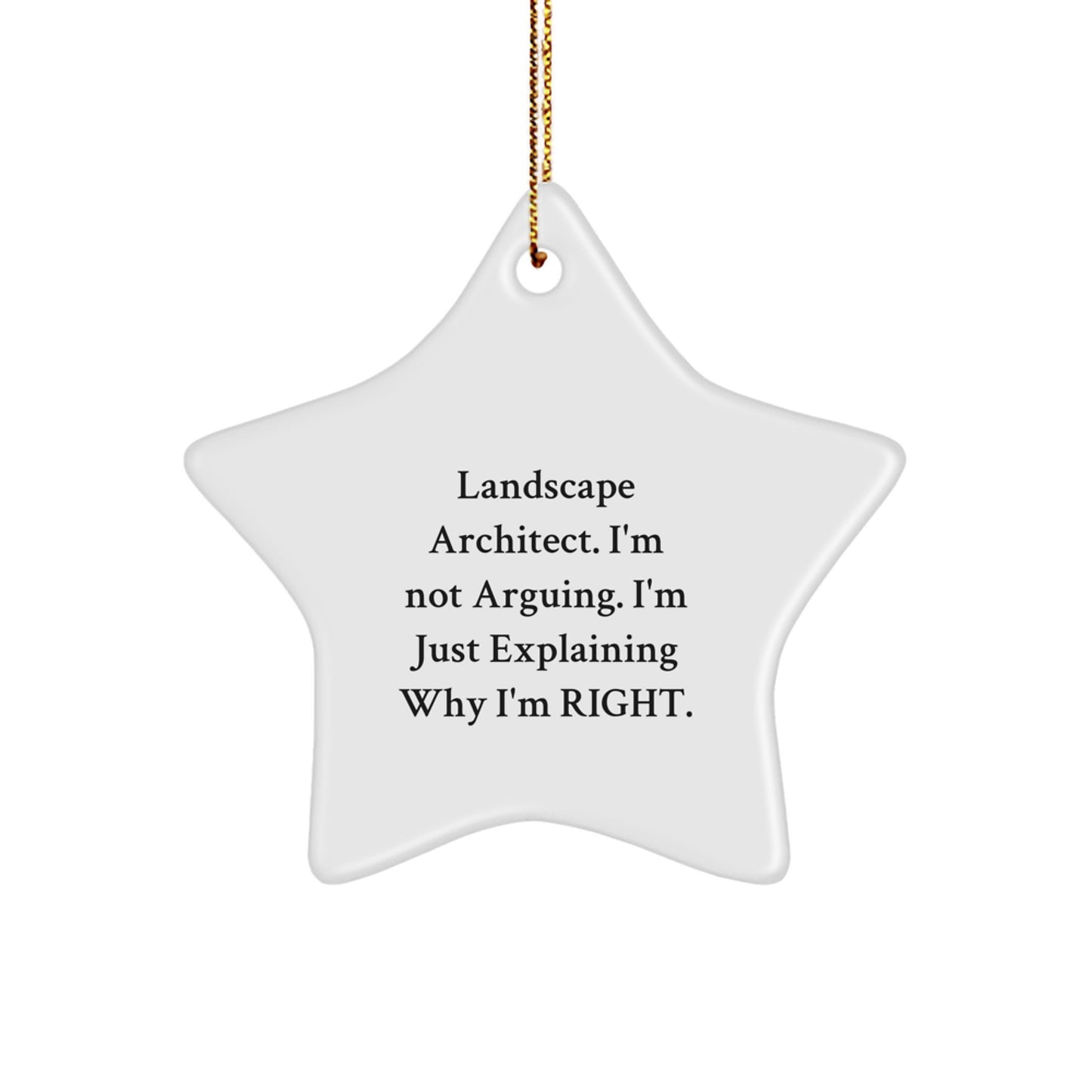 Funny Landscape Architect Star Ornament Gifts for Men from Friends, Christmas Unique Funny Gifts for Landscape Architect Men - Image 1