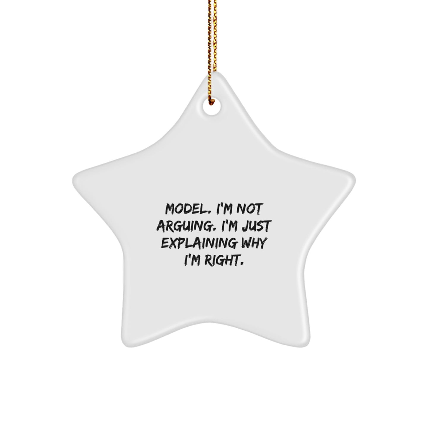 Funny Model Christmas Star Ornament Gifts from Friends, Family, Coworkers, or Men, Women with Humorous Quote - Unique Star Gift for Model Enthusiasts - Image 1