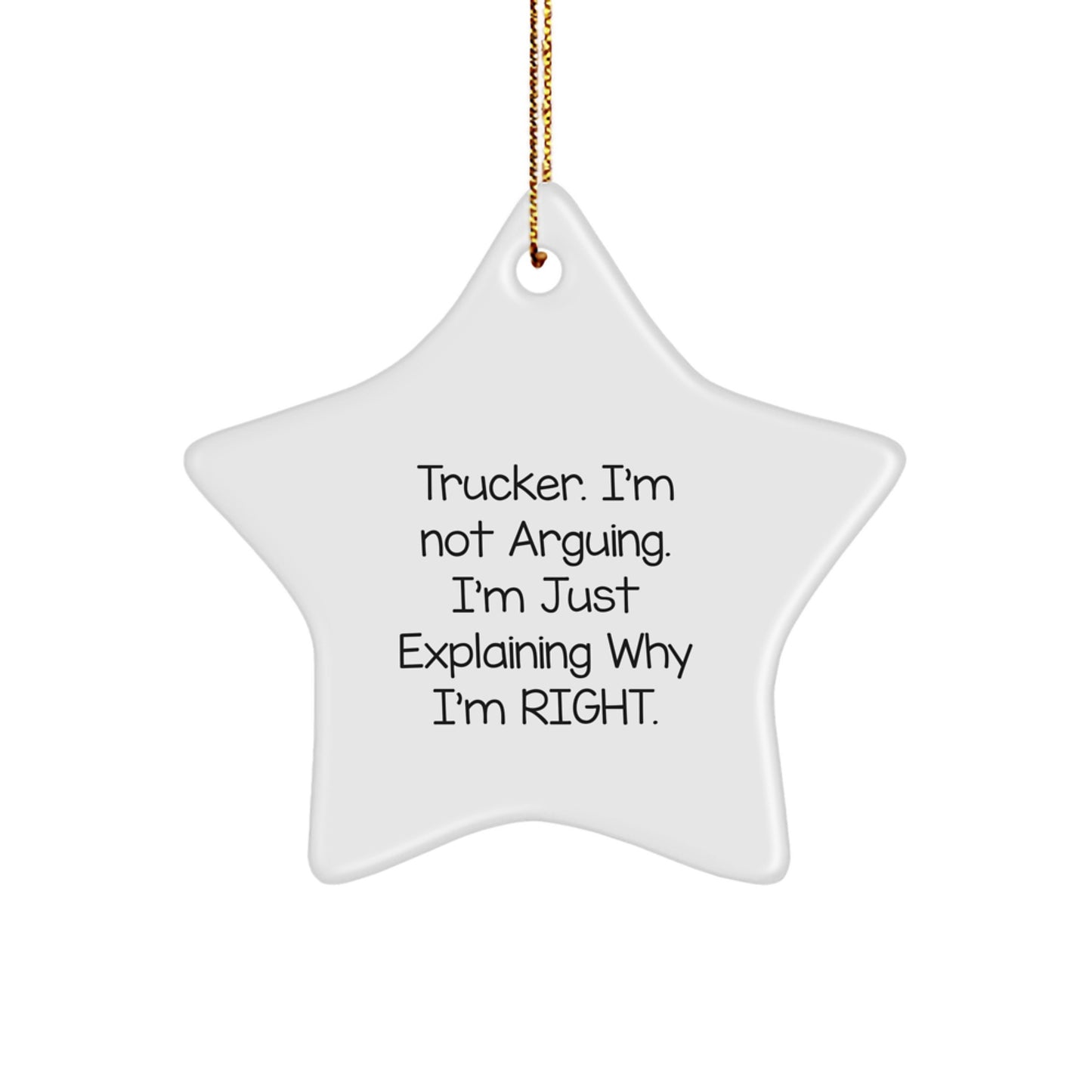 Funny Trucker Gifts from Friends, Star Ornament for Men and Women with Inspirational Quote, Unique Christmas Decorations - Image 1
