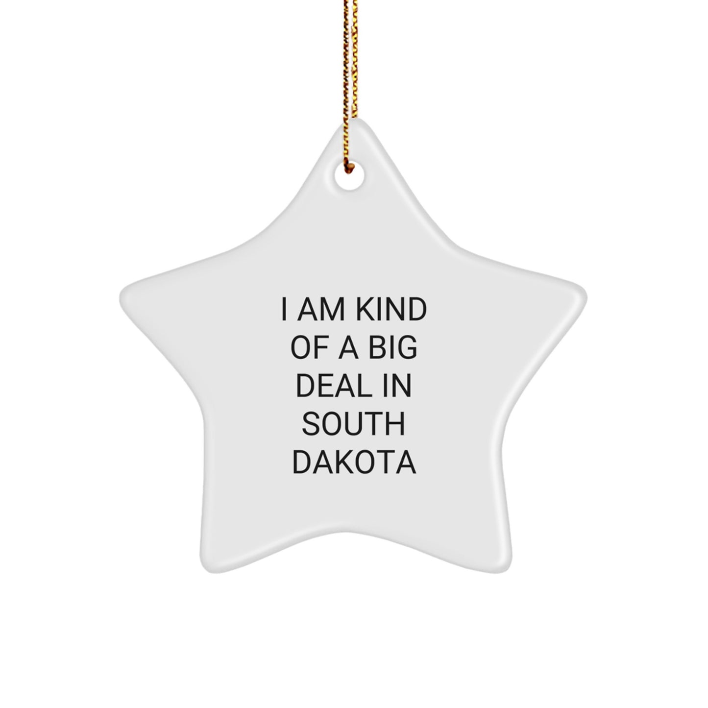 South Dakota Star Ornament Fun Gift I Am Kind Of A Prime Selection In South Dakota for South Dakota Residents - Image 1