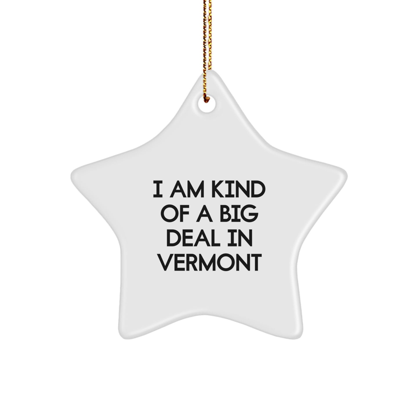 Funny Star Ornament from Vermont, Ideal Gifts for Men or Women, Christmas Unique Star Decorations, I Am Kind Of A Prime Selection In Vermont - Image 1