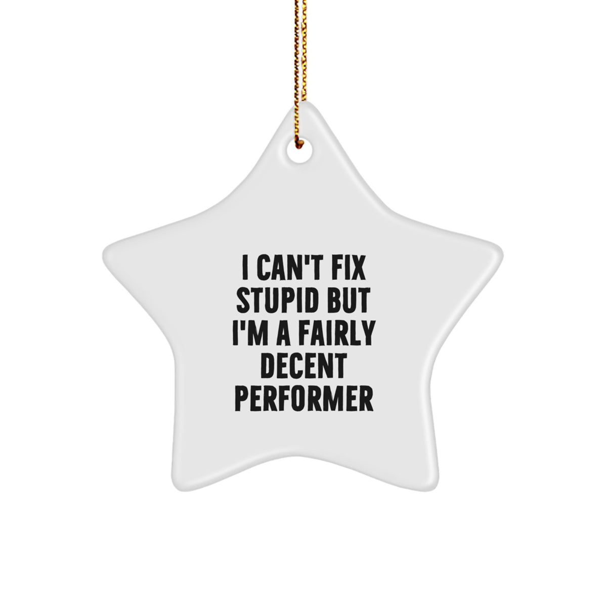 Funny Performer Gifts for Men - Star Ornament, I 'Can't Fix Stupid But I'm A Fairly Decent Performer', Christmas Unique Gifts from Friends, Family, Coworkers - Image 1