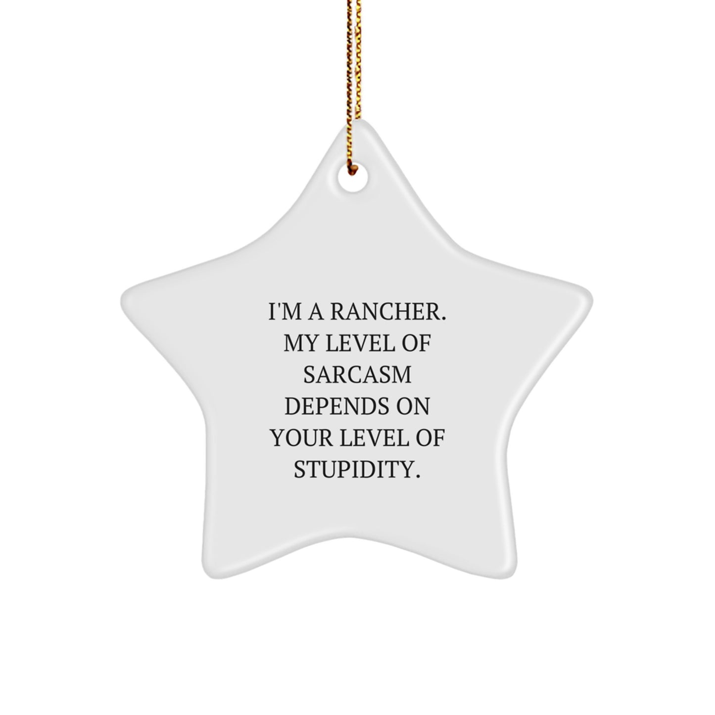 Rancher Gifts from Men, Funny Star Ornament for Christmas Unique Gifts for Ranchers - Image 1