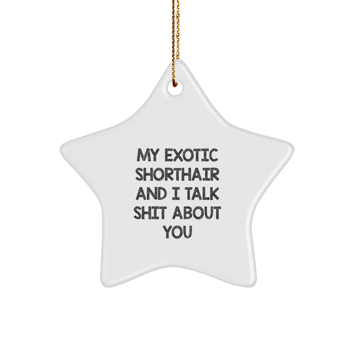 Funny Exotic Shorthair Cat Lover Star Ornament Gifts from Family for Exotic Shorthair Cat Owners Christmas Unique Gifts - Image 1