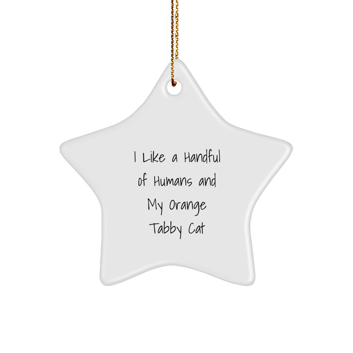 Funny Orange Tabby Cat Lover Gifts for Orange Tabby Cat Owners, Christmas Unique Ornaments for Home Decor, Gifts from Friends to Family - Image 1