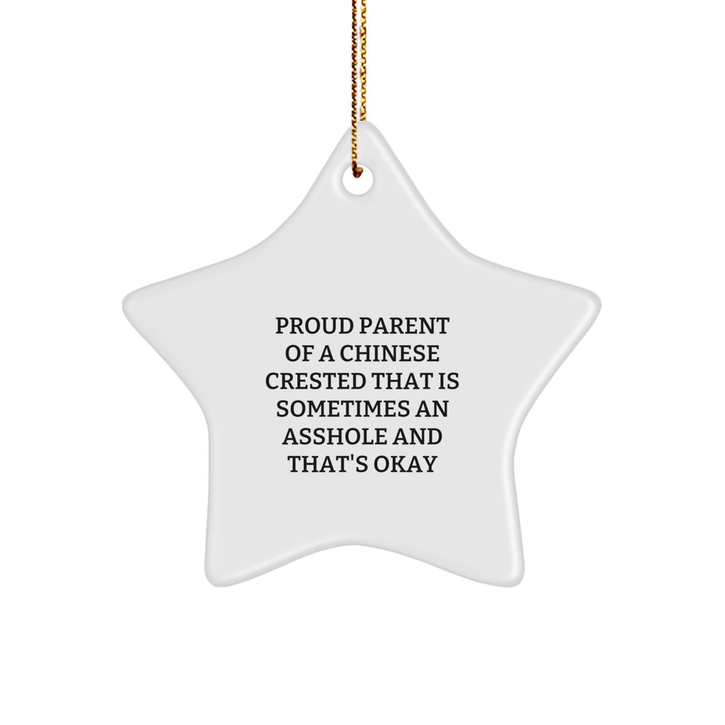 Funny Chinese Crested Dog Lover Gifts from Family for Christmas Unique Star Ornament - Image 1