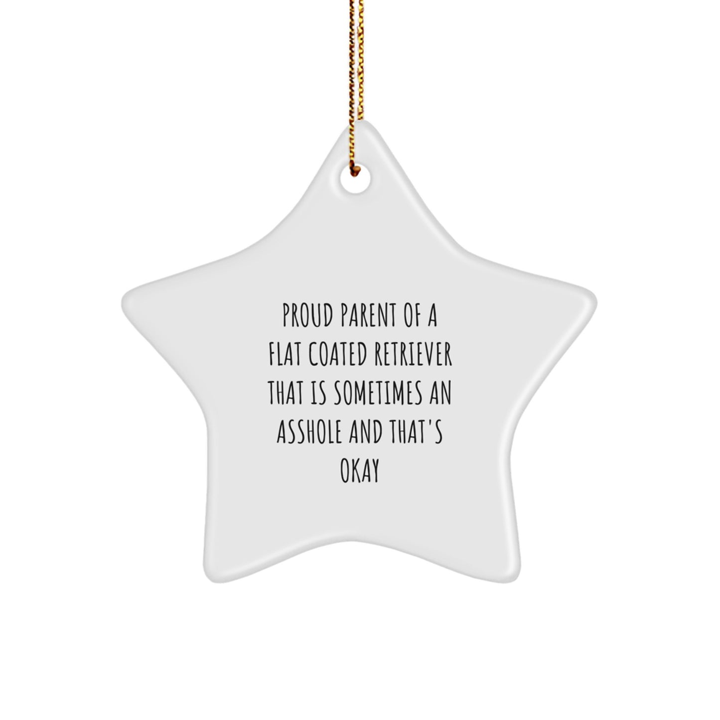 Funny Flat Coated Retriever Dog Gifts for Men - Proud Parent Star Ornament, Unique Christmas Decorations from Parents - Image 1