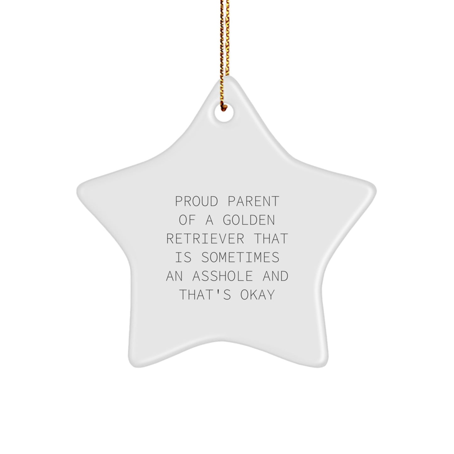 Golden Retriever Dog Lover Gifts from Family, Funny Star Ornament, Christmas Unique - Image 1
