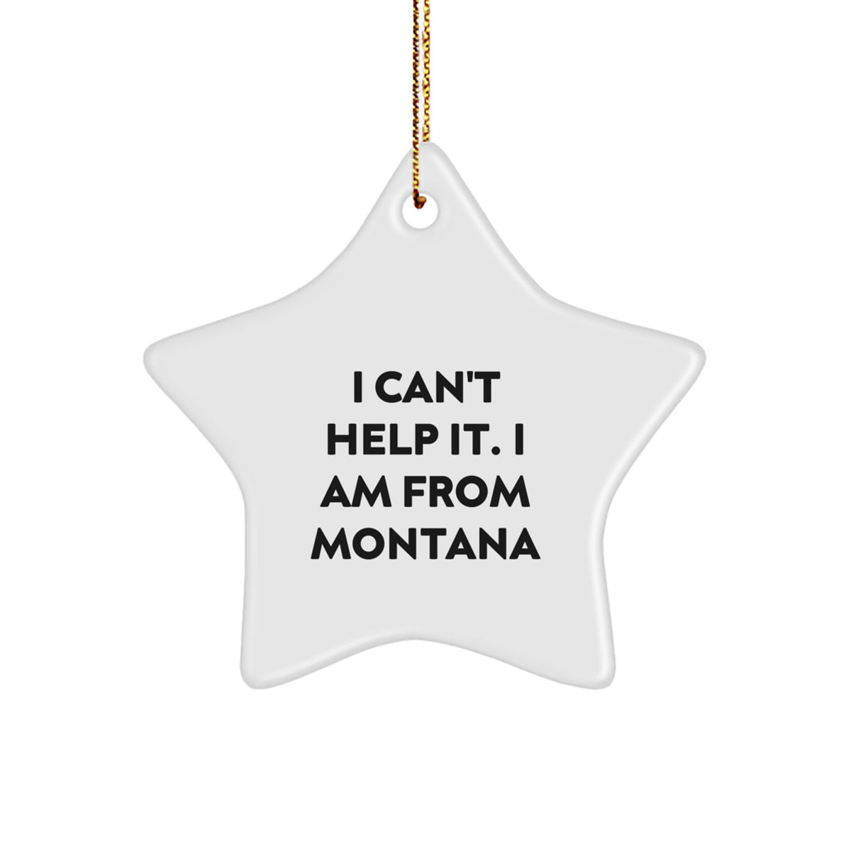 Christmas Unique Gift Montana Star Ornament for Her Present I Can't Help It - Image 1
