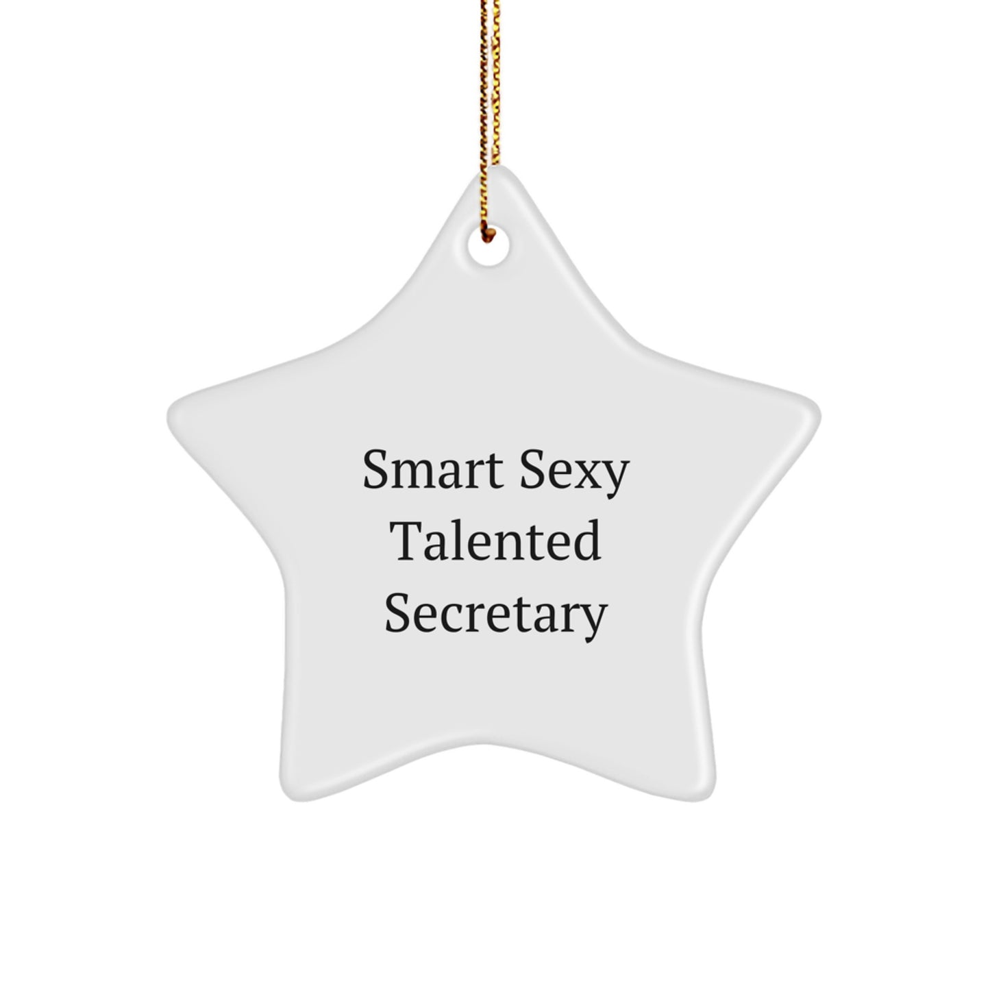 Smart Sexy Talented Secretary Star Ornament - Funny Christmas Unique Gifts from Men to Secretary - Image 1