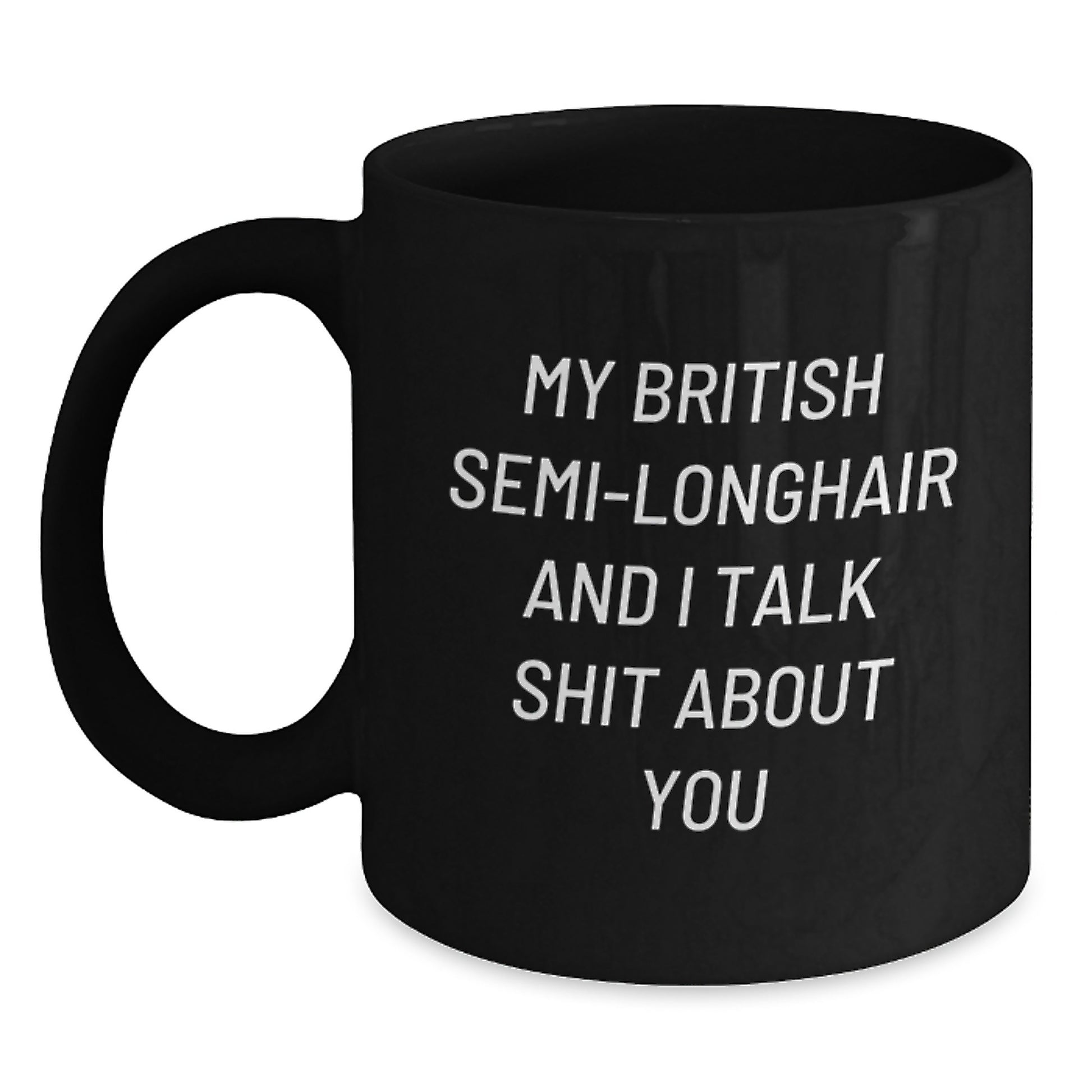 Funny British Semi-Longhair Cat Gifts for Family - 'My British Semi-longhair And I Talk Shit About You' Black Coffee Mug for Graduation Unique Gifts from Friends - Main