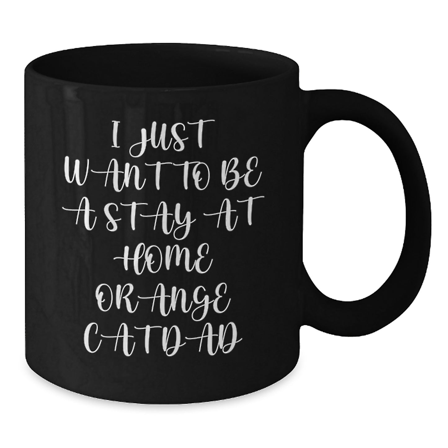 Funny Orange Cat Dad Gifts from Men to Orange Cat Lover Friends on Birthday Unique - Additional