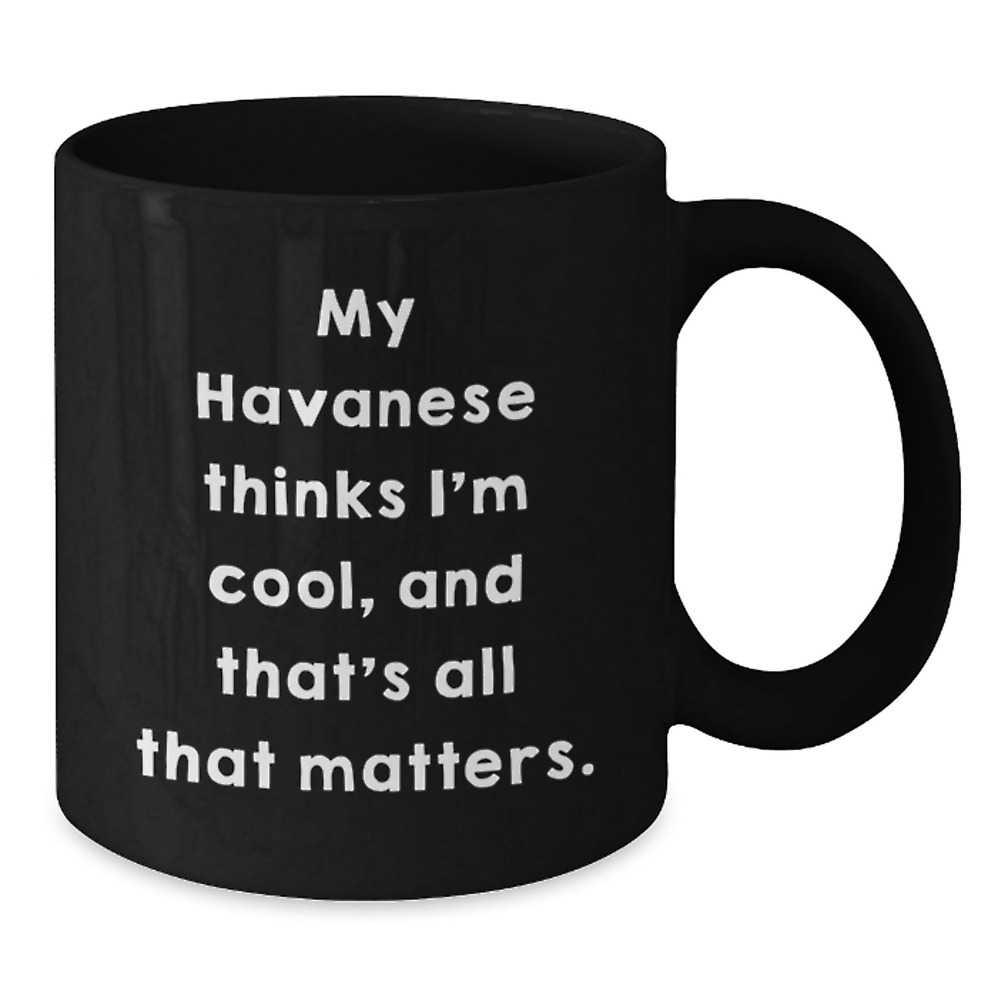 Funny Havanese Dog Gifts for Men from Friends, Birthday Unique Mugs with Havanese Thinks I'm Cool Quote - Additional