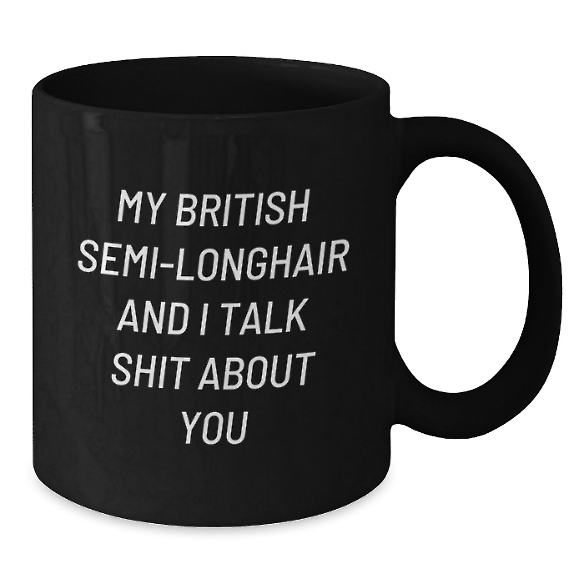 Funny British Semi-Longhair Cat Gifts for Family - 'My British Semi-longhair And I Talk Shit About You' Black Coffee Mug for Graduation Unique Gifts from Friends - Additional