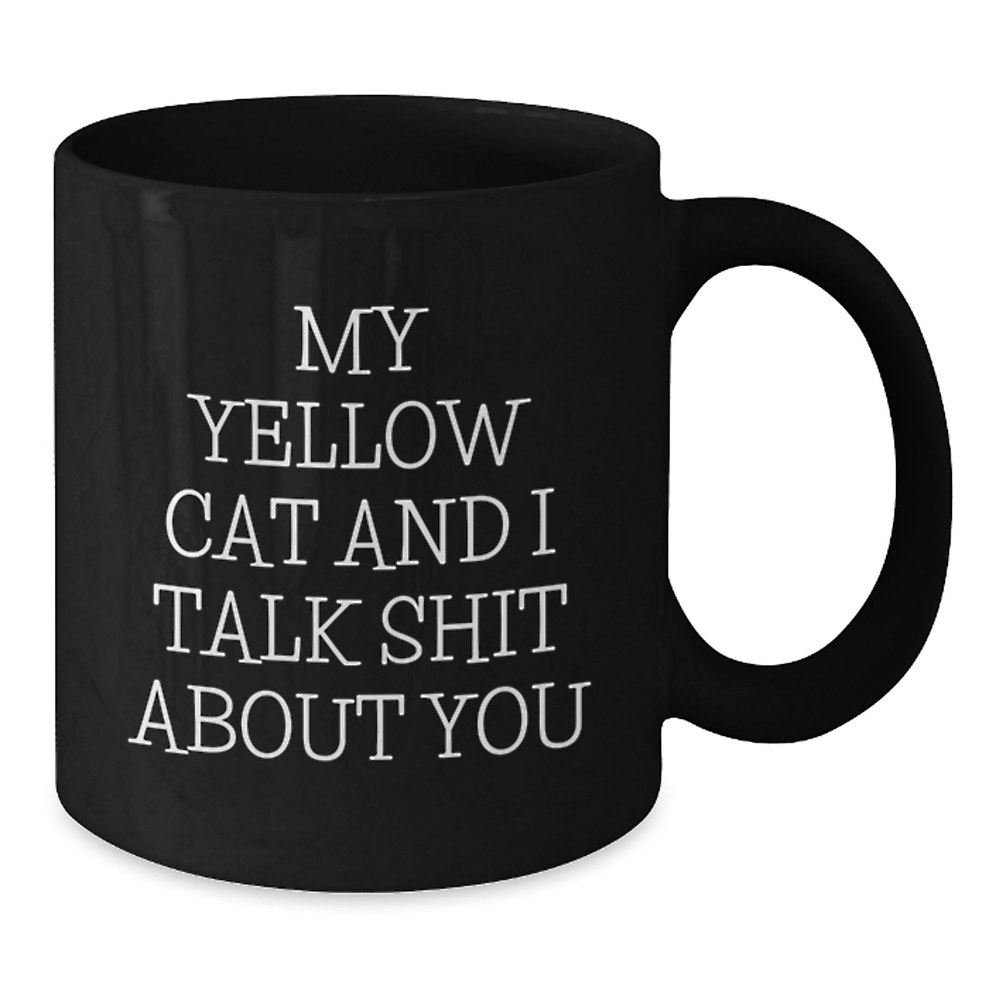 Funny Yellow Cat Gifts for Men Friends - My Yellow Cat And I Talk Shit About You Black Coffee Mug - Unique Father's Day Unique Gifts from Friends Family - Additional