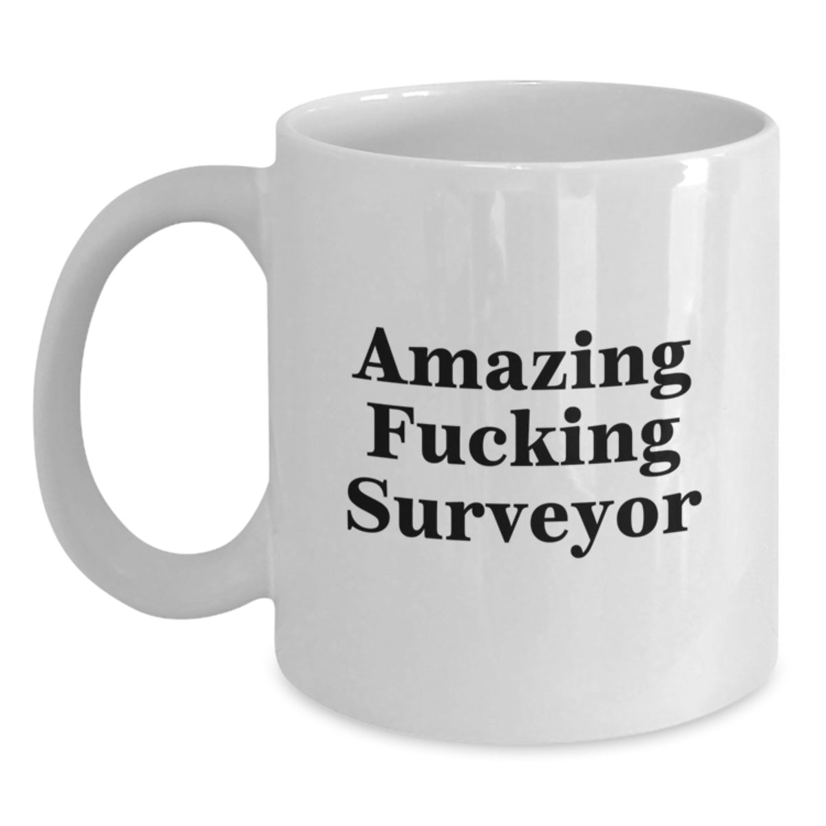 Funny Surveyor White Coffee Mugs Gifts from Men for Surveyor Friends - Main