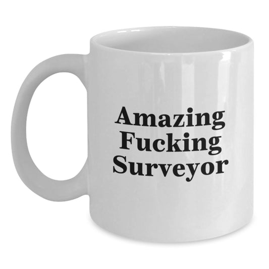 Funny Surveyor White Coffee Mugs Gifts from Men for Surveyor Friends - Main