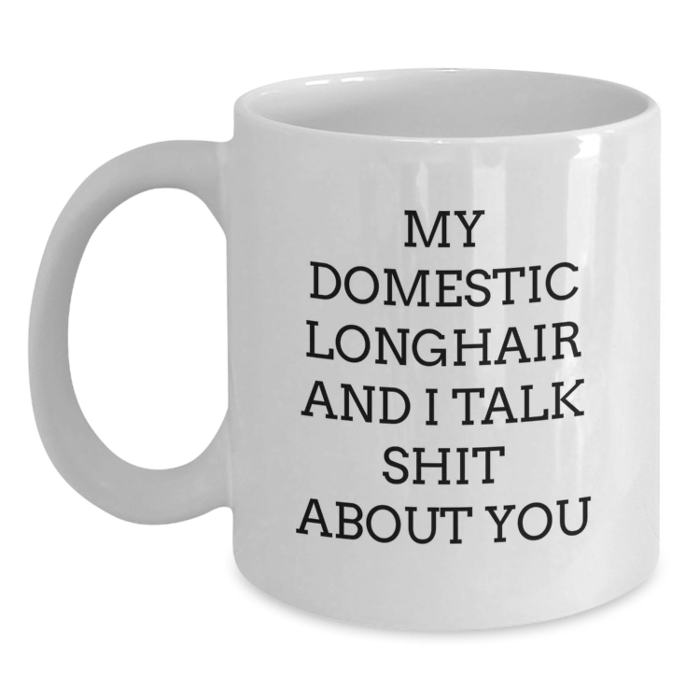 Domestic Longhair Cat Lover Gifts from Men to Women, Funny 'My Domestic Longhair And I Talk Shit About You' White Coffee Mug for Graduation, Unique Cat Mom Dad - Main