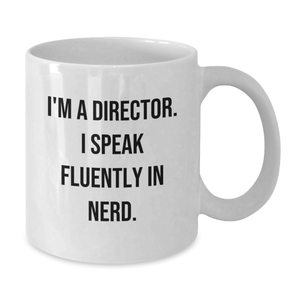 Funny Director Gifts, I'm A Director. I Speak Fluently In genius. Birthday Unique Gifts for Director Friends and Family from Men - Additional