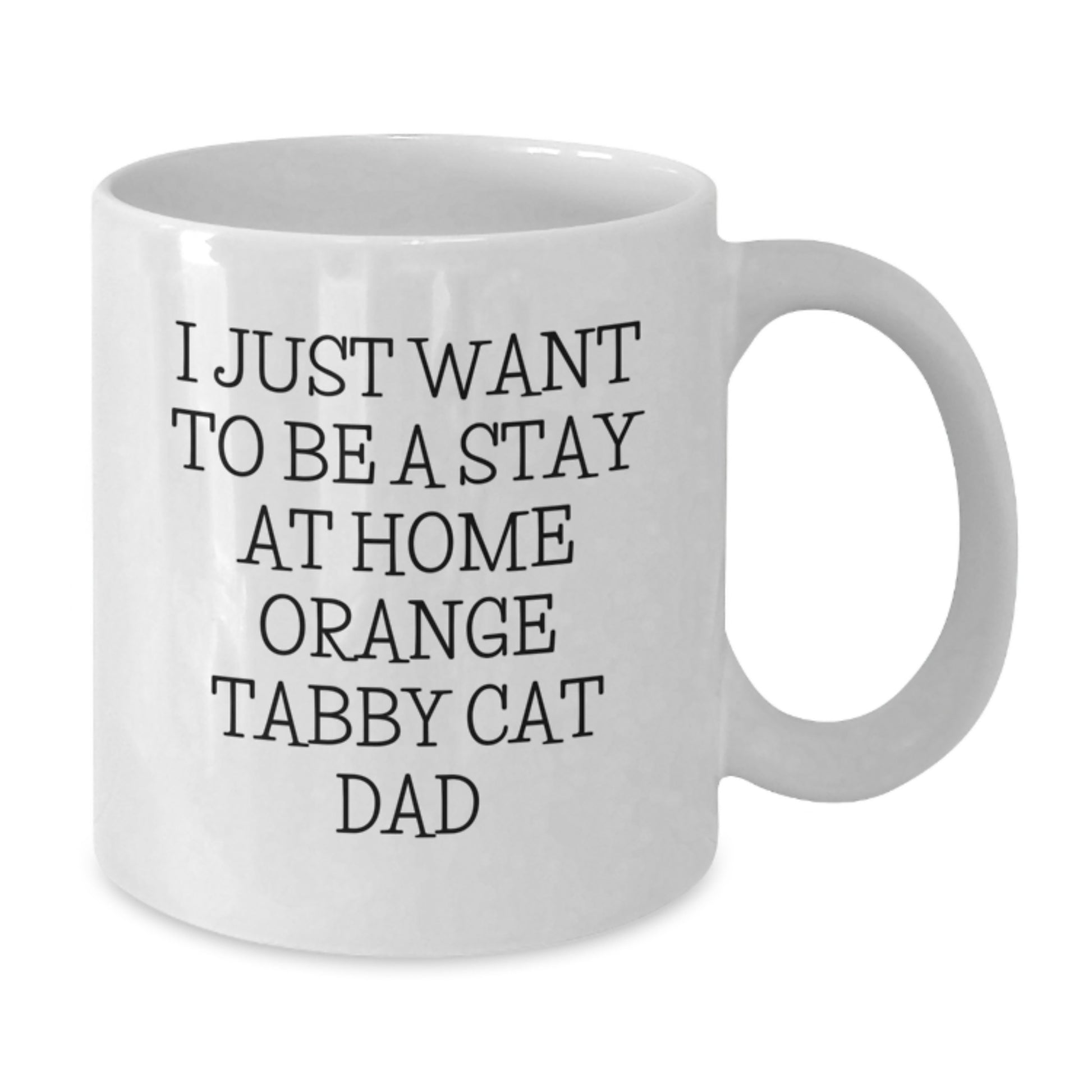 Funny Orange Tabby Cat Gifts from Men for Orange Tabby Cat Dad on Birthday Unique Gifts - Additional