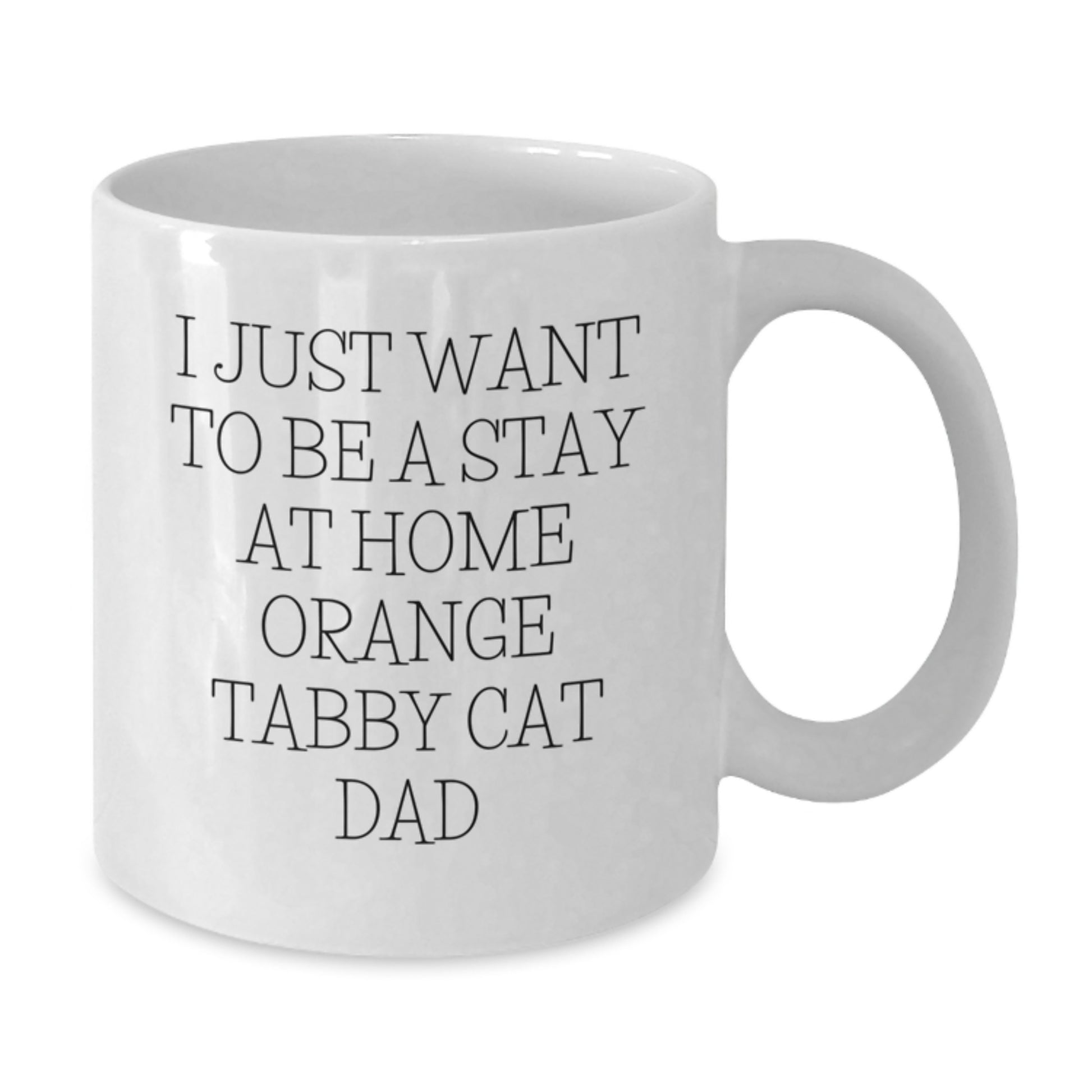 Funny Orange Tabby Cat Gifts from Men to Orange Tabby Cat Lovers on Birthday Unique - Additional