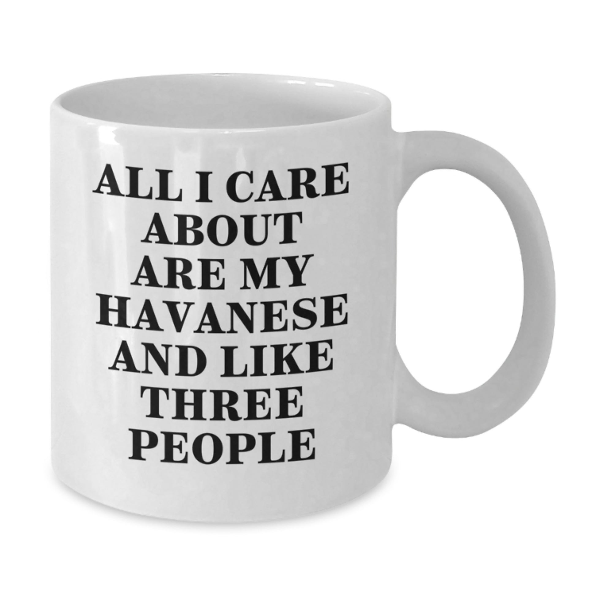 Funny Havanese Dog Gifts for Men Women Friends Family - White Coffee Mug, All I Care About Are My Havanese And Like Three People - Additional