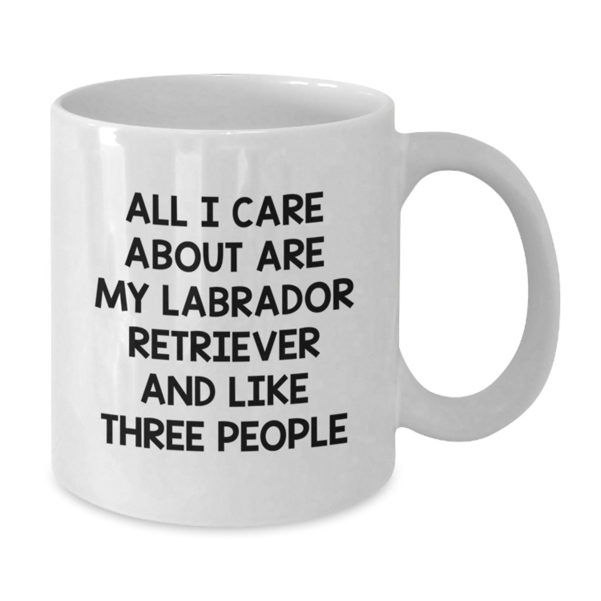 Labrador Retriever Dog Lover Funny Quote Gifts from Friends to Family Birthday Unique Coffee Mugs - Additional