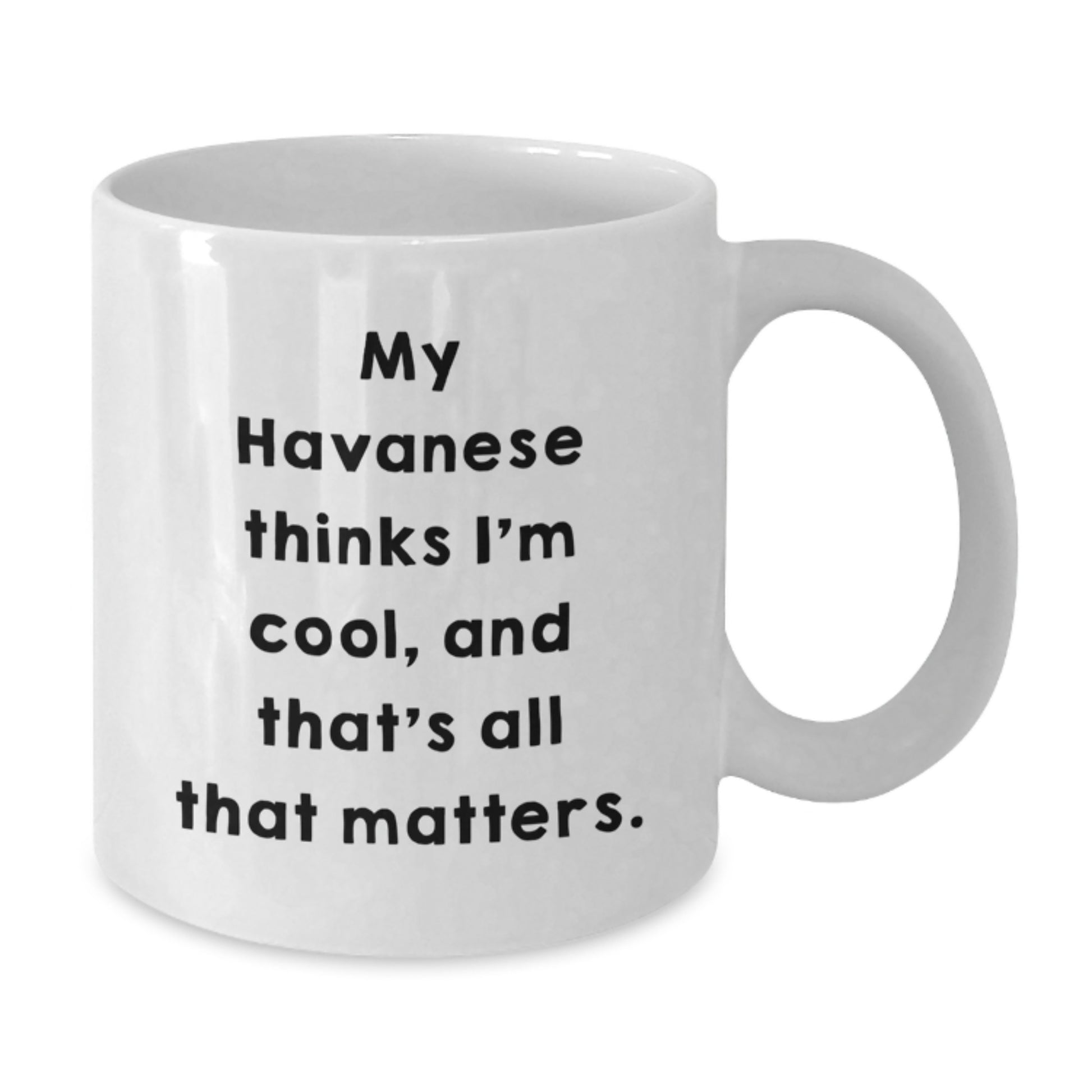 Funny Havanese Dog Lover Gifts for Him from Friends - White Coffee Mug with I'm Cool Quote - Additional