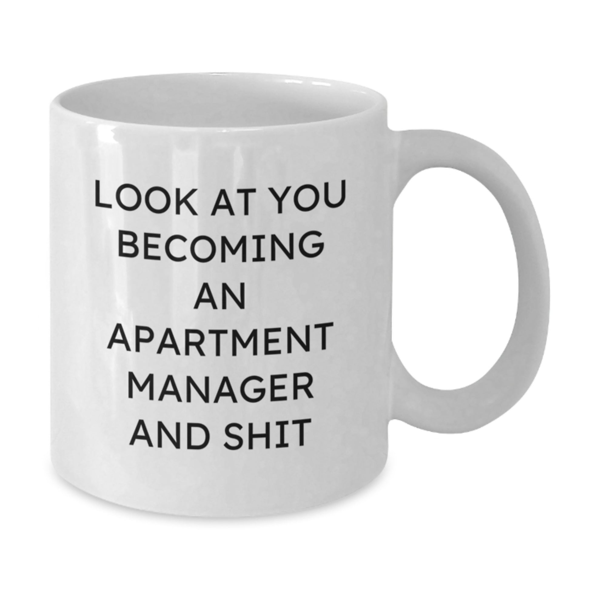 Gifts from Friends, Apartment Manager Unique Gifts, Graduation Funny Mugs 'Look At You Becoming An Apartment Manager And Shit' - Additional