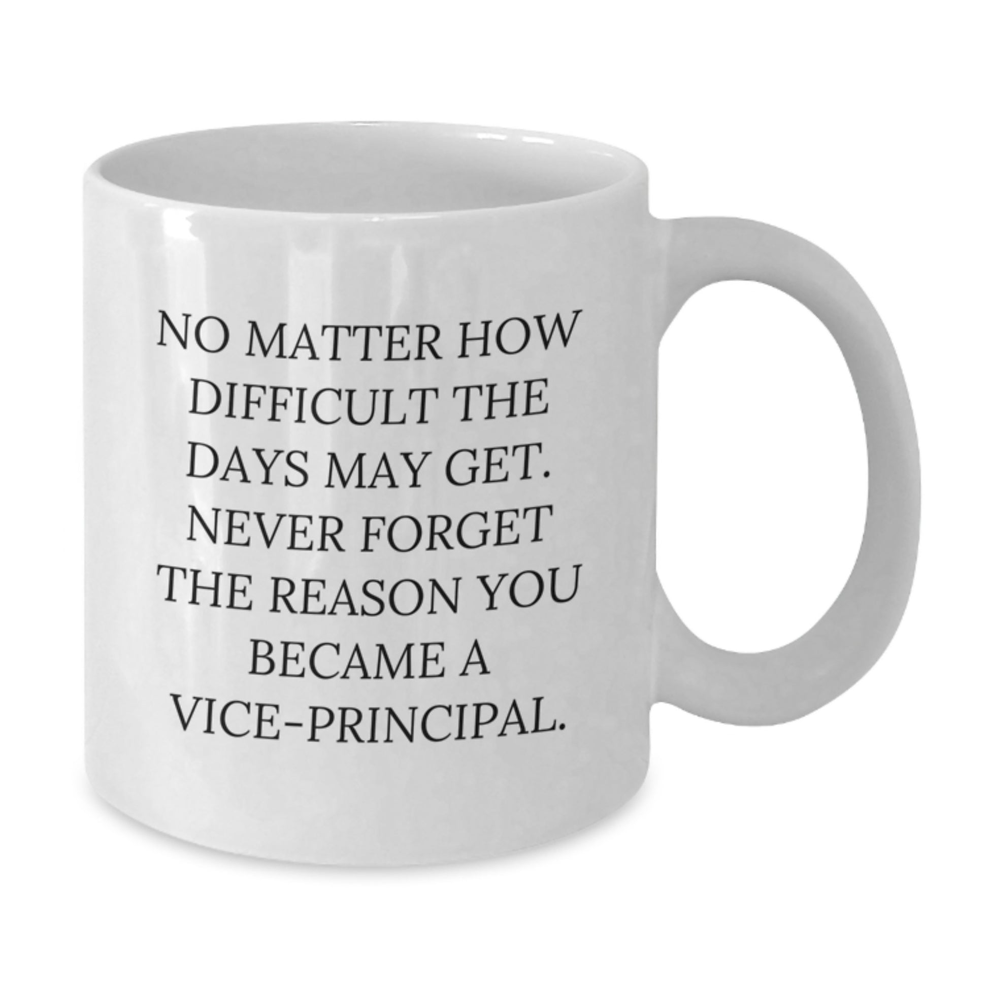 Funny Vice-principal Gifts from Family - White Coffee Mug with Inspirational Quote for Graduation Unique Gifts for Vice-principal Men - Additional