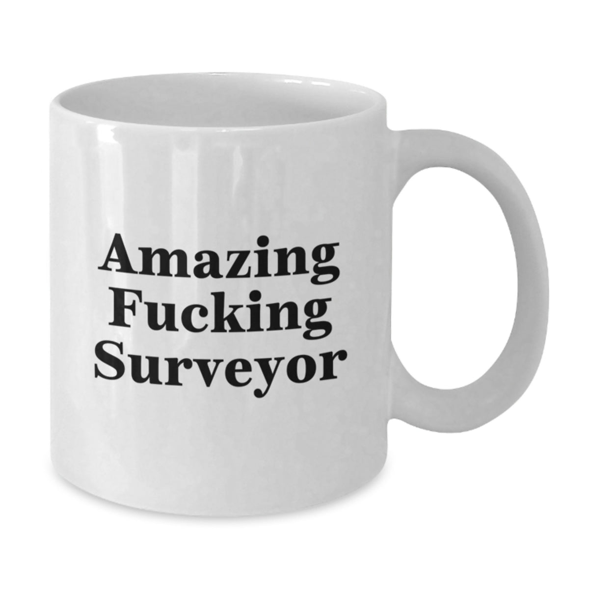 Funny Surveyor White Coffee Mugs Gifts from Men for Surveyor Friends - Additional