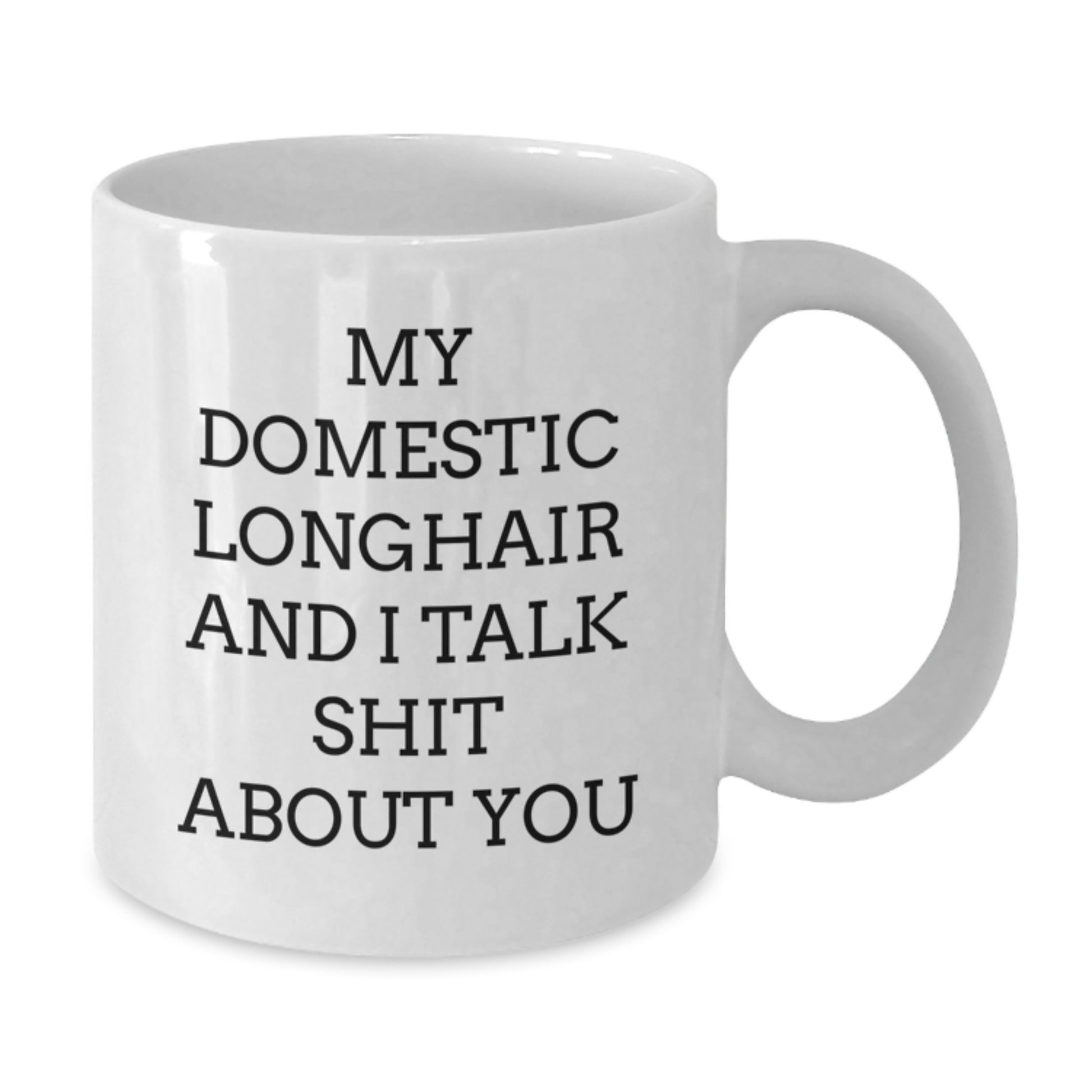 Domestic Longhair Cat Lover Gifts from Men to Women, Funny 'My Domestic Longhair And I Talk Shit About You' White Coffee Mug for Graduation, Unique Cat Mom Dad - Additional