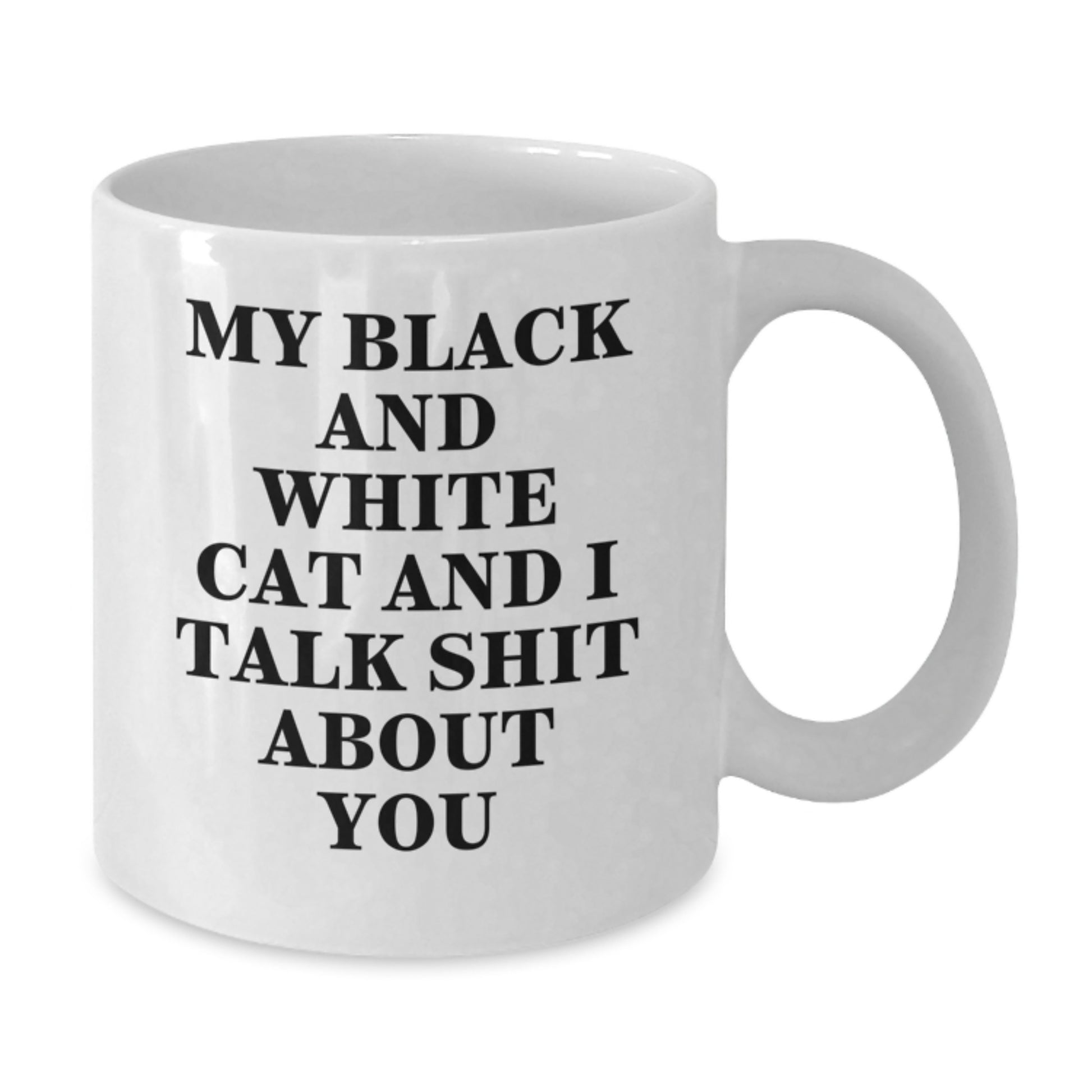 Funny Black and White Cat Gifts for Her - White Coffee Mug - My Black And White Cat And I Talk Shit About You - Gifts from Men to Women on Mother's Day - Additional