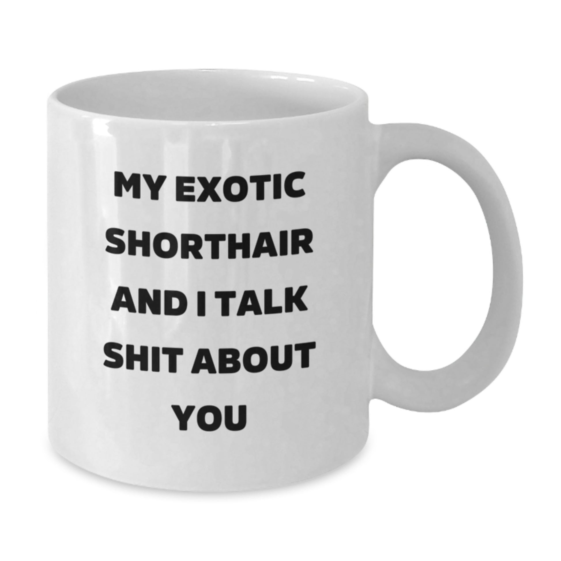 Funny Exotic Shorthair Cat Gifts from Mom for Exotic Shorthair Cat Enthusiasts - White Coffee Mug with 'My Exotic Shorthair And I Talk Shit About You' Quote - Unique Mother's Day Unique Gift - Additional