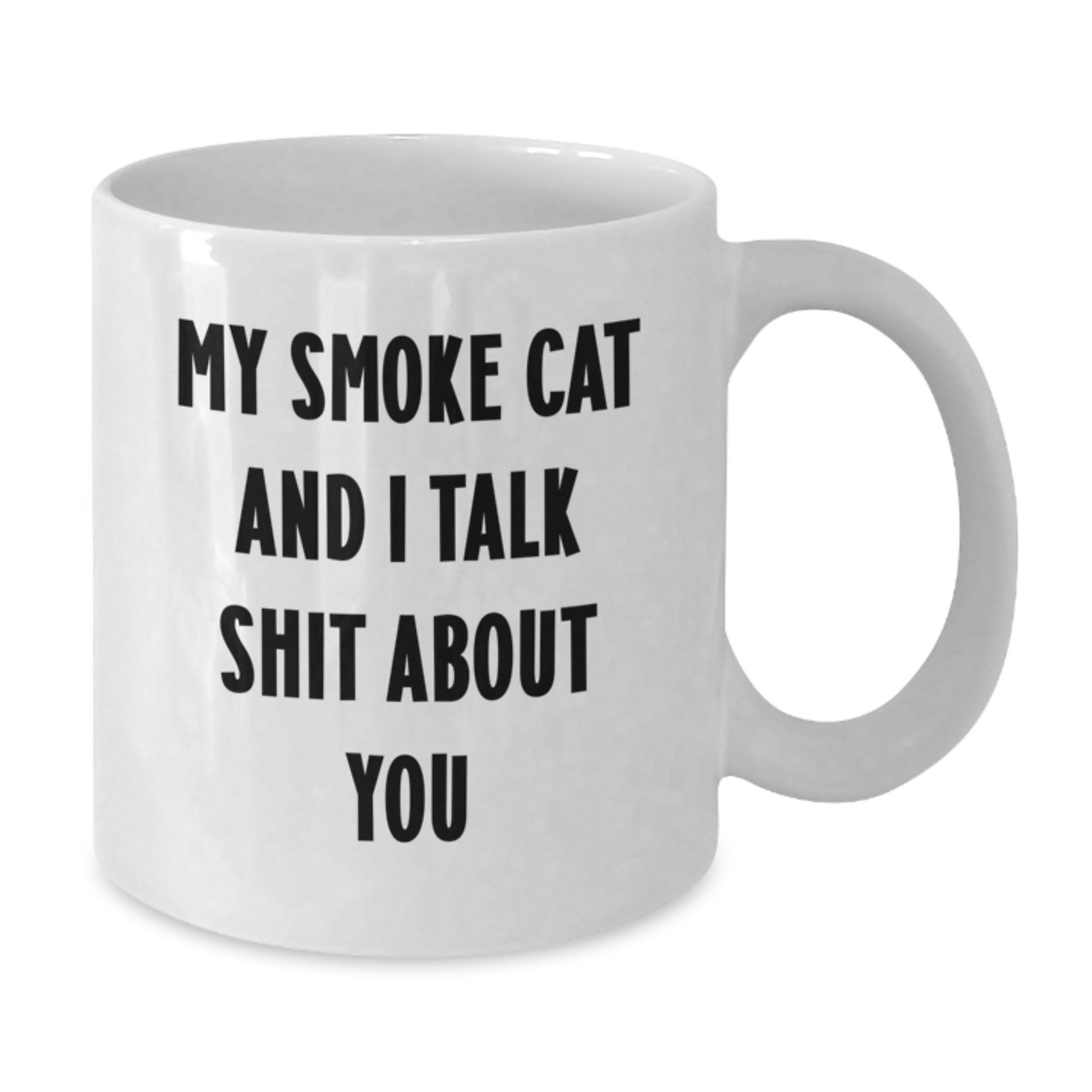 Funny Smoke Cat Gifts for Men - White Coffee Mug - Graduation Unique Gifts from Friends - 'My Smoke Cat And I Talk Shit About You' - Additional
