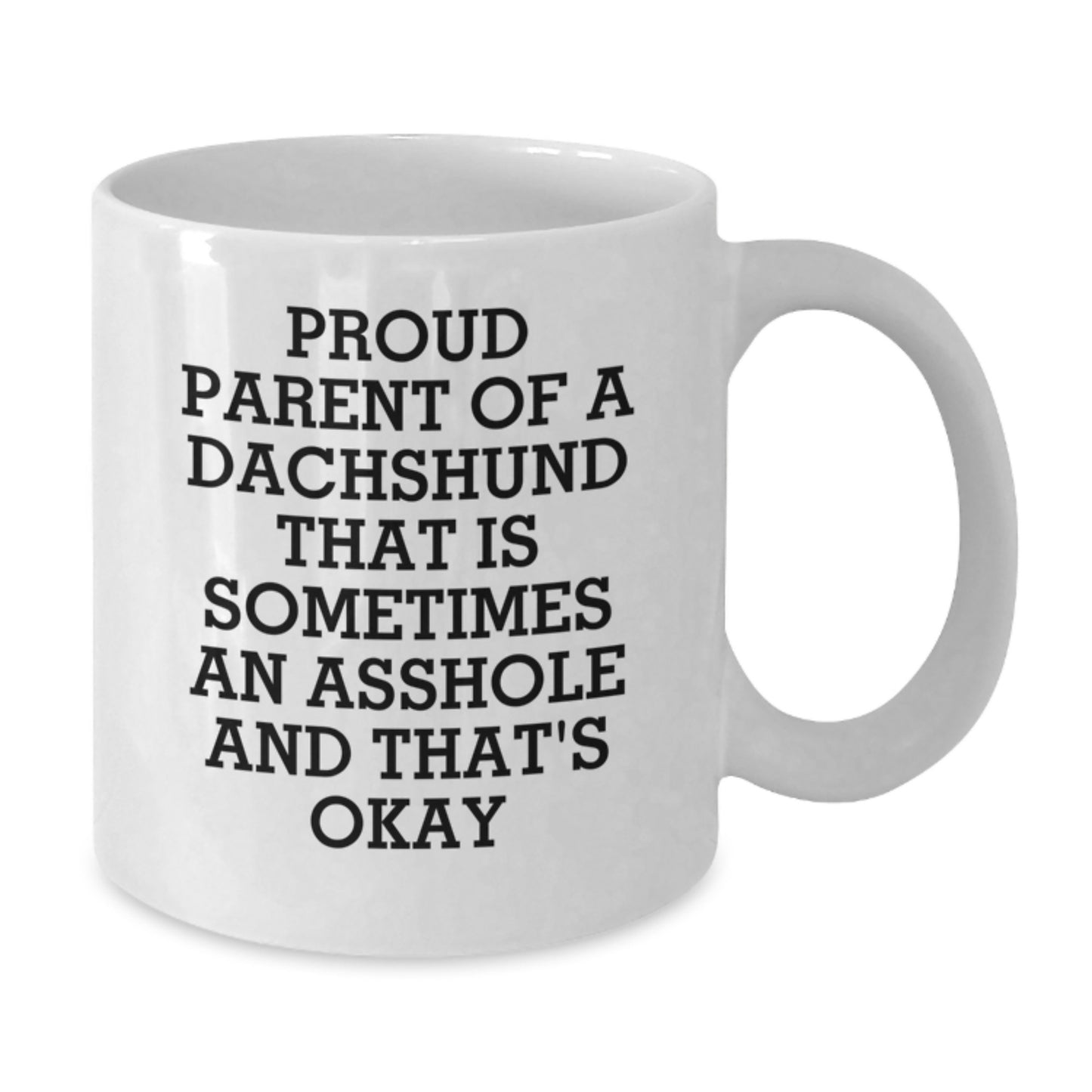 Funny Dachshund Dog Gifts for Mom on Mother's Day - Proud Parent Mug, White Coffee Mug with 'Sometimes an Asshole and That's Okay' Quote - Additional