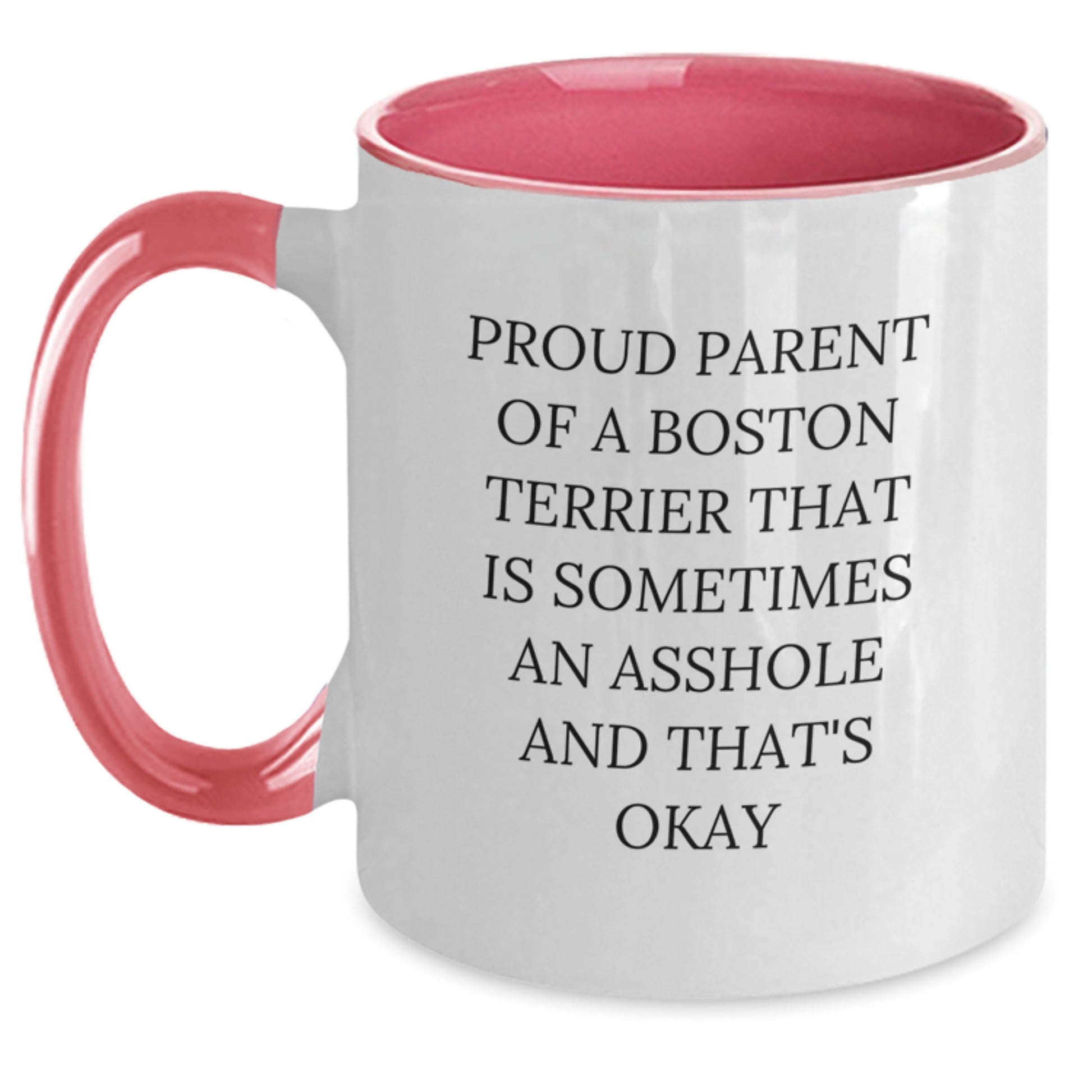 Witty Boston Terrier Mug for Friends Birthday Gift - Main