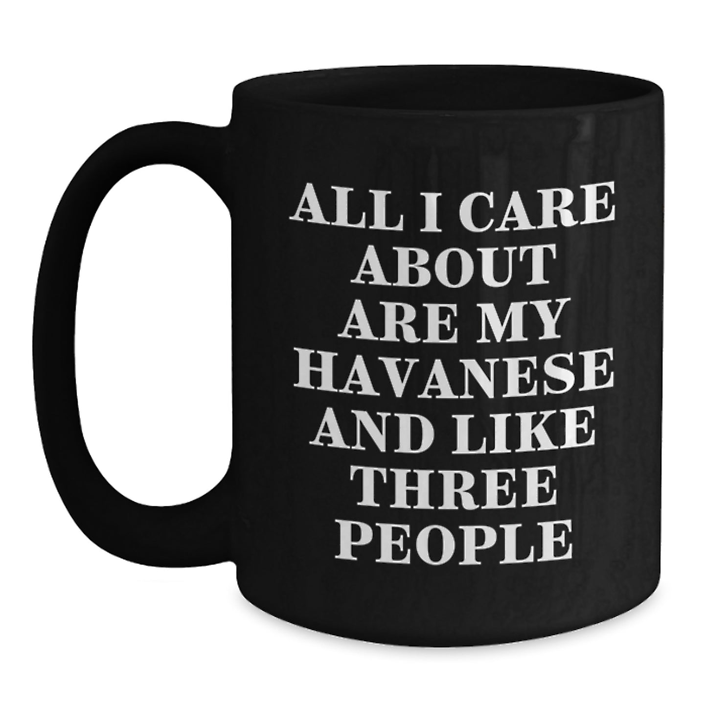 Funny Havanese Dog Lover Gifts from Friends for Birthday Unique Black Coffee Mug - Main