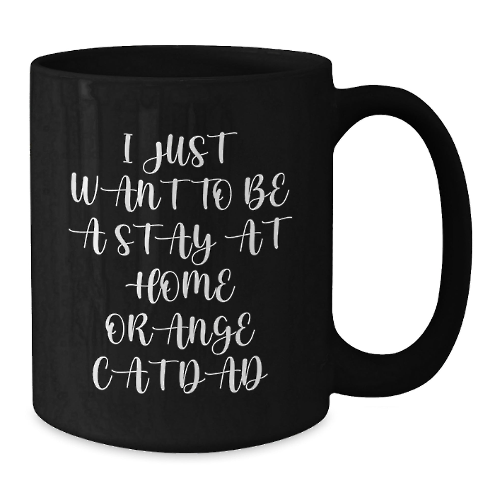 Funny Orange Cat Dad Gifts from Men to Orange Cat Lover Friends on Birthday Unique - Additional