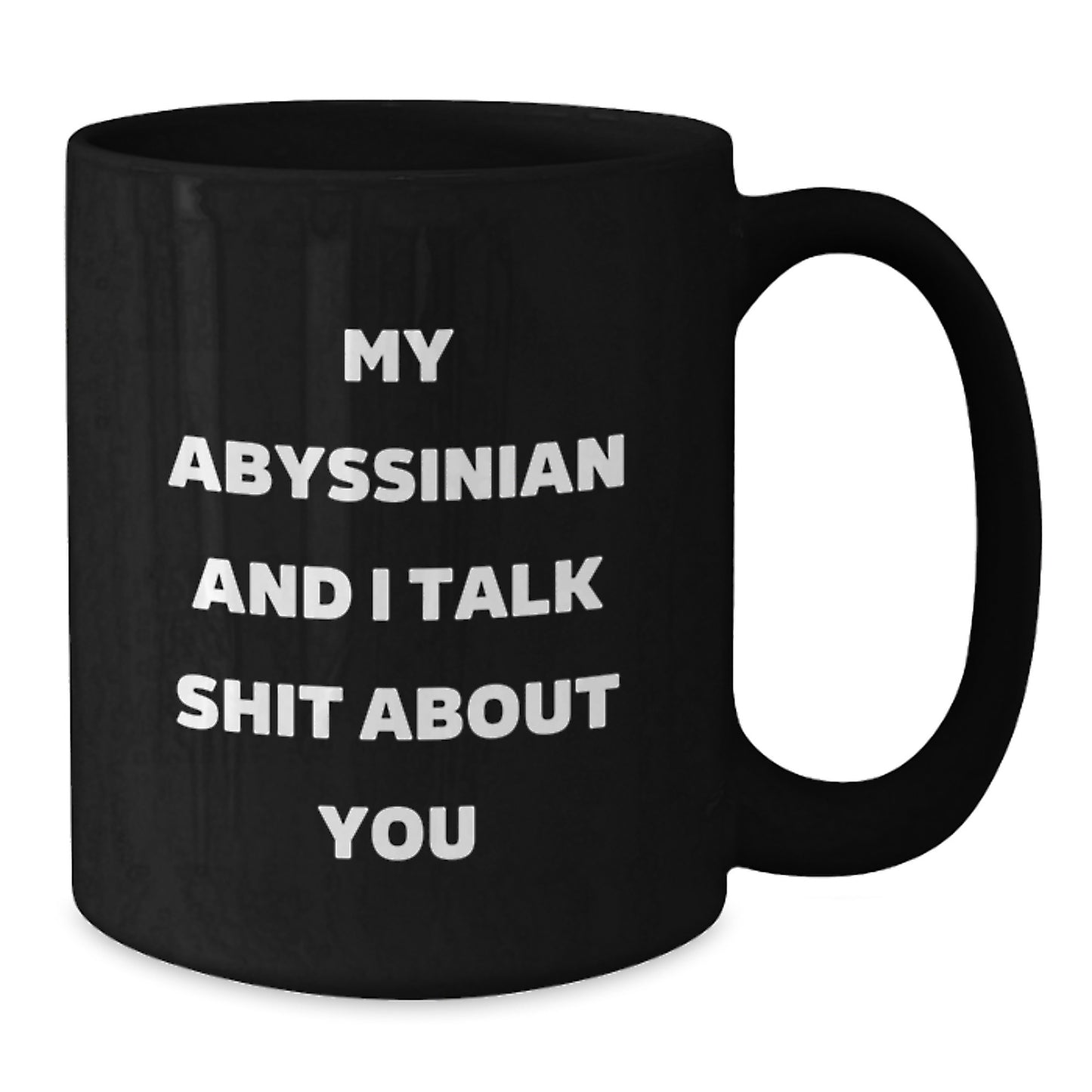 Funny Abyssinian Cat Gifts for Mom, Black Coffee Mug with My Abyssinian And I Talk Shit About You Quote, Unique Mother's Day Unique Gift from Friends - Additional