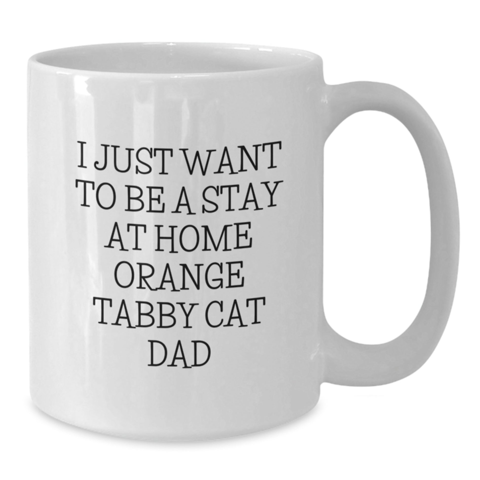 Funny Orange Tabby Cat Gifts from Men for Orange Tabby Cat Dad on Birthday Unique Gifts - Additional