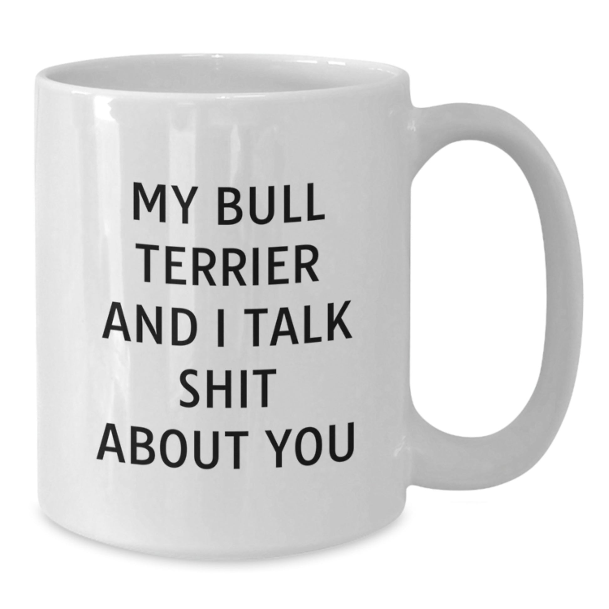 Funny Bull Terrier Dog Lover Gifts from Men to Friends - My Bull Terrier And I Talk Shit About You White Coffee Mug for Graduation Unique Gifts - Additional