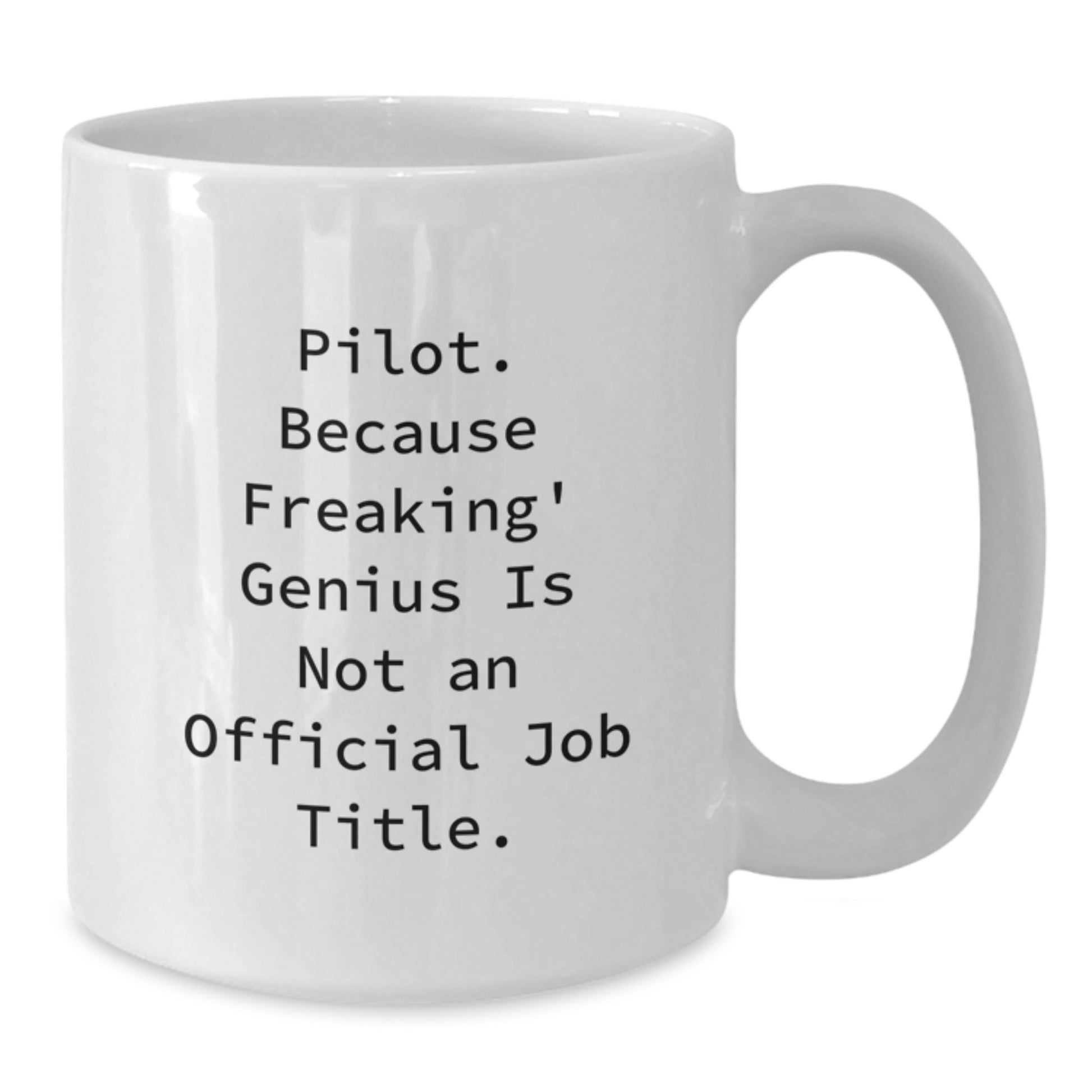 Funny Pilot Gifts for Friends, Unique White Coffee Mug with Inspirational Quote, Ideal Gifts from Family to Pilot Graduates - Additional