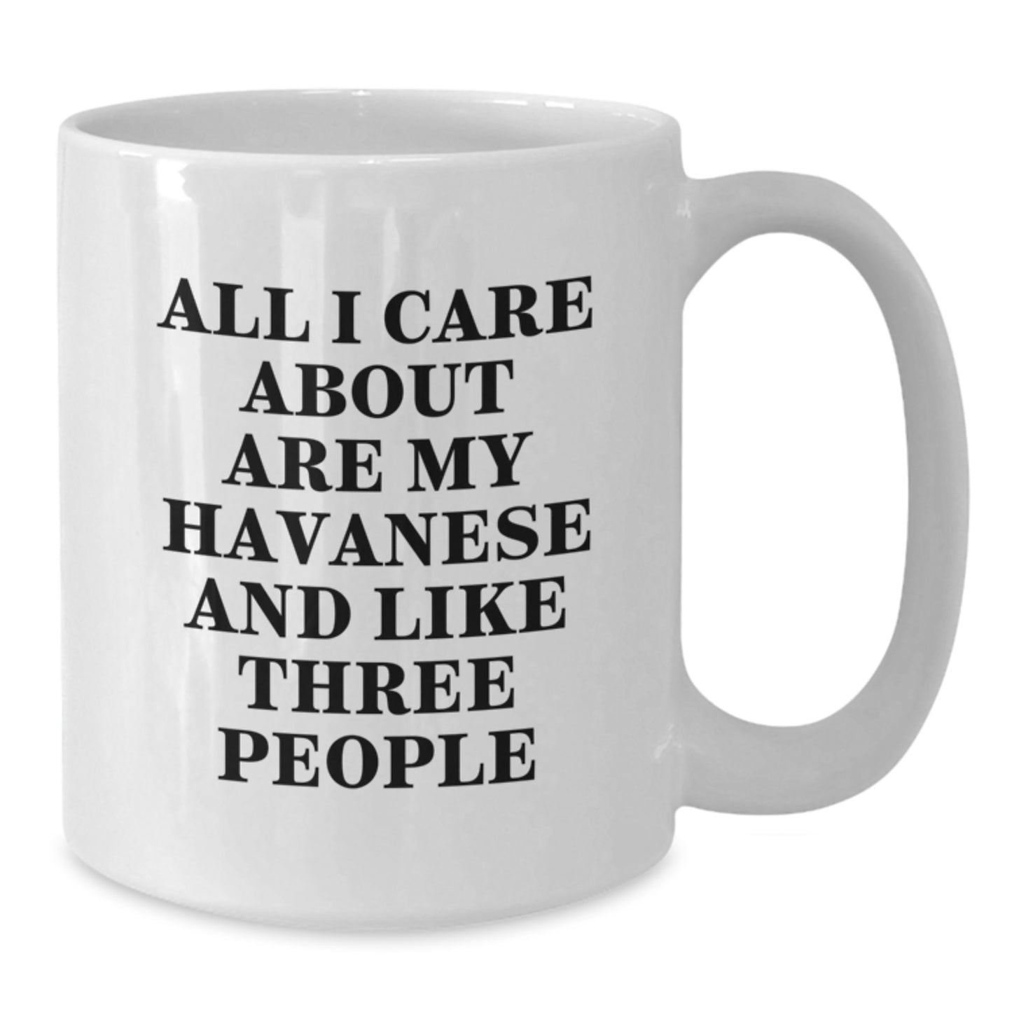 Funny Havanese Dog Gifts for Men Women Friends Family - White Coffee Mug, All I Care About Are My Havanese And Like Three People - Additional